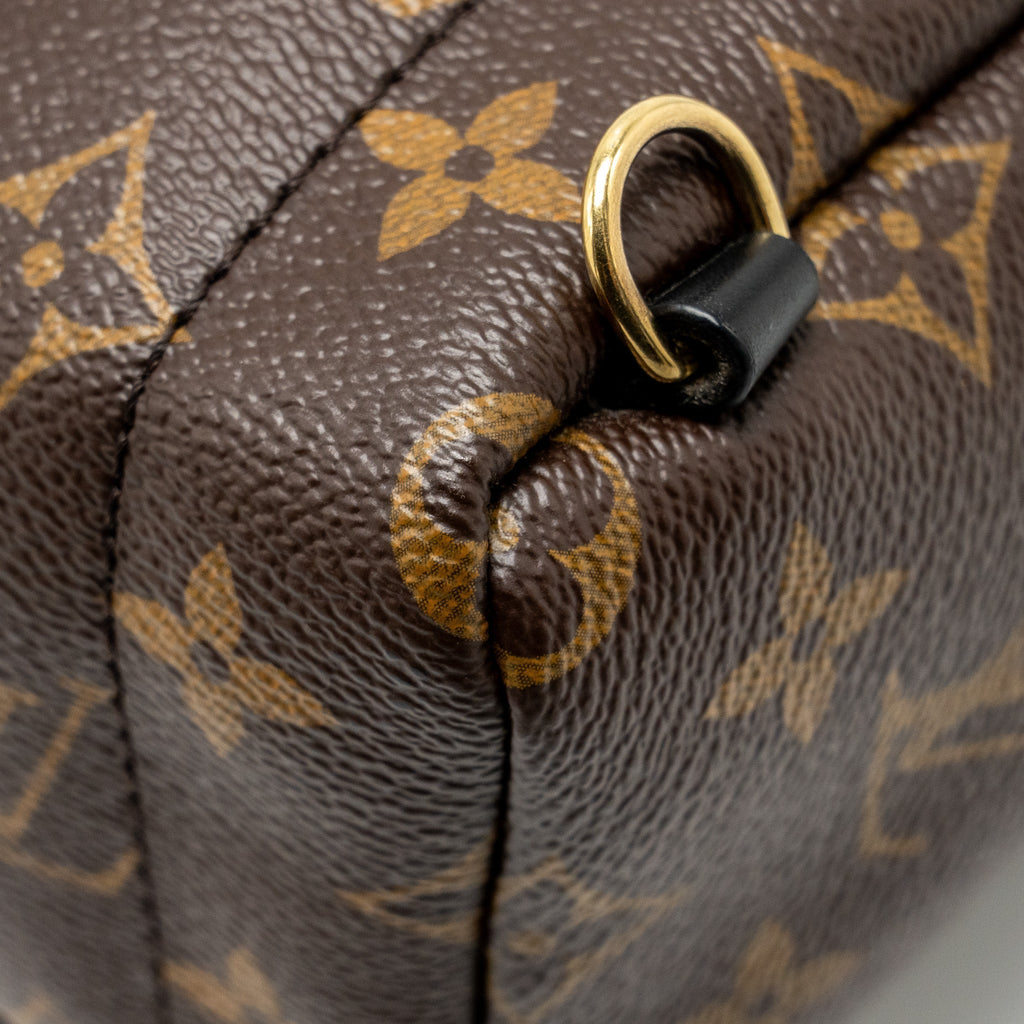 louis-vuitton-palm-spring-mini-backpack-monogram-canvas-ghw-9