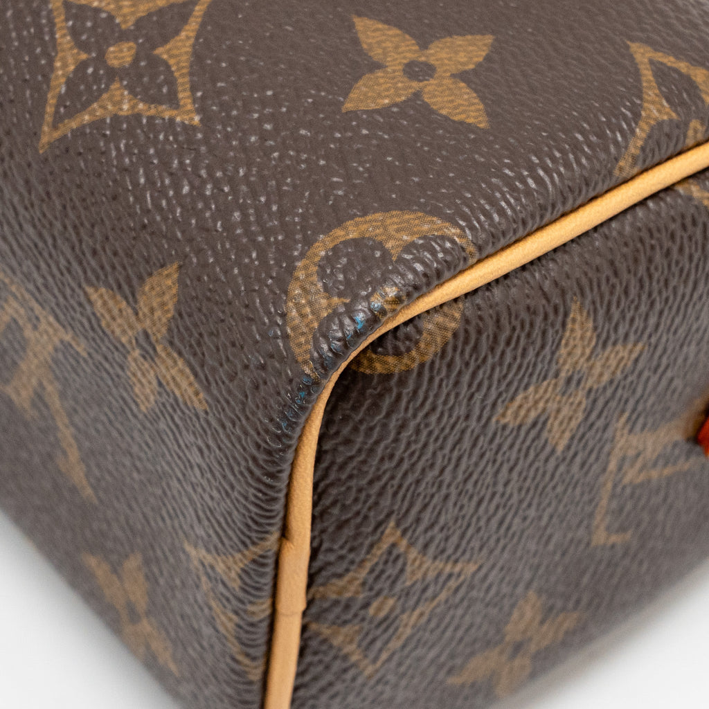 lv-nano-speedy-monogram
