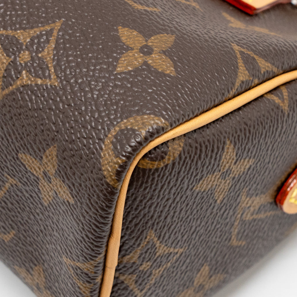 lv-nano-speedy-monogram