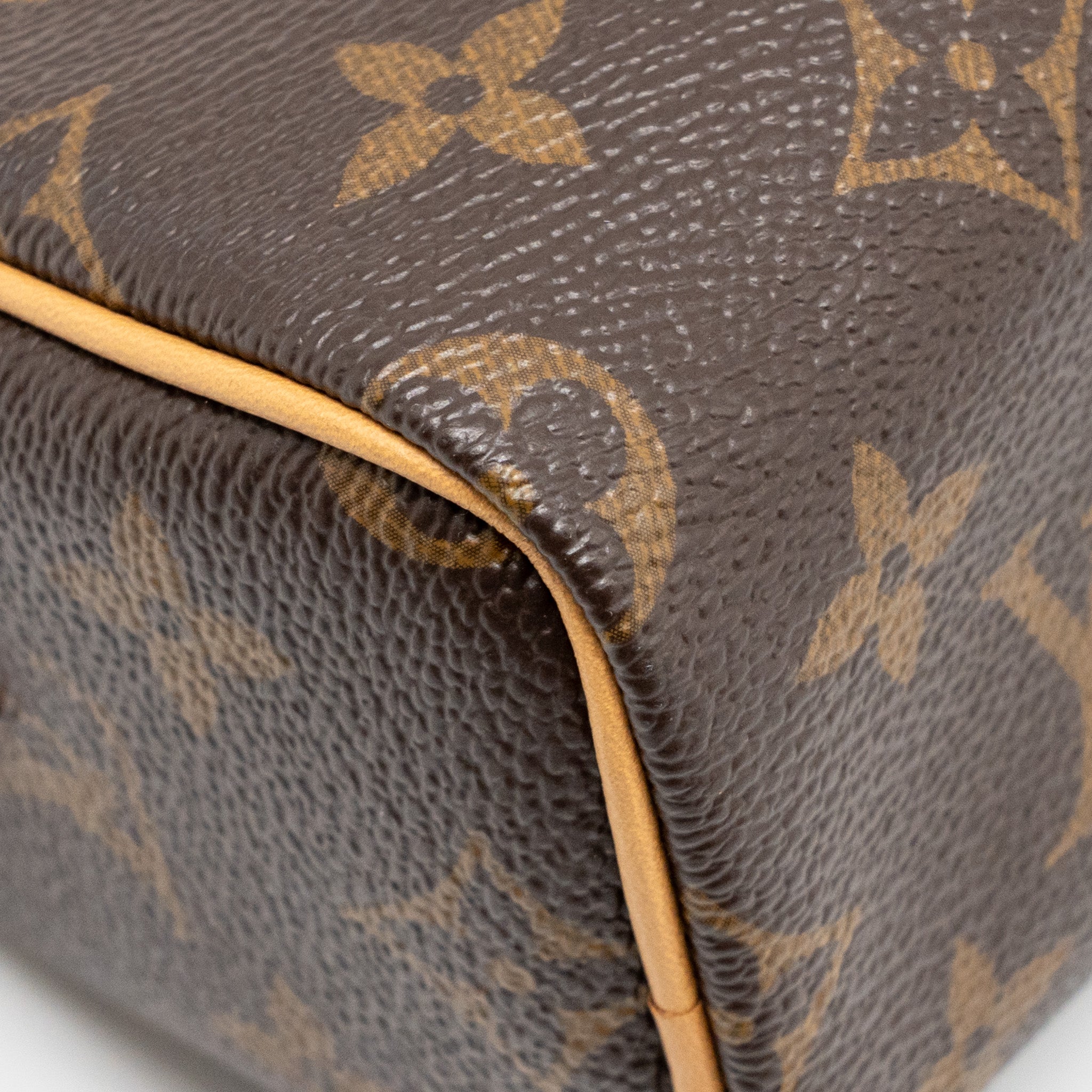 lv-nano-speedy-monogram