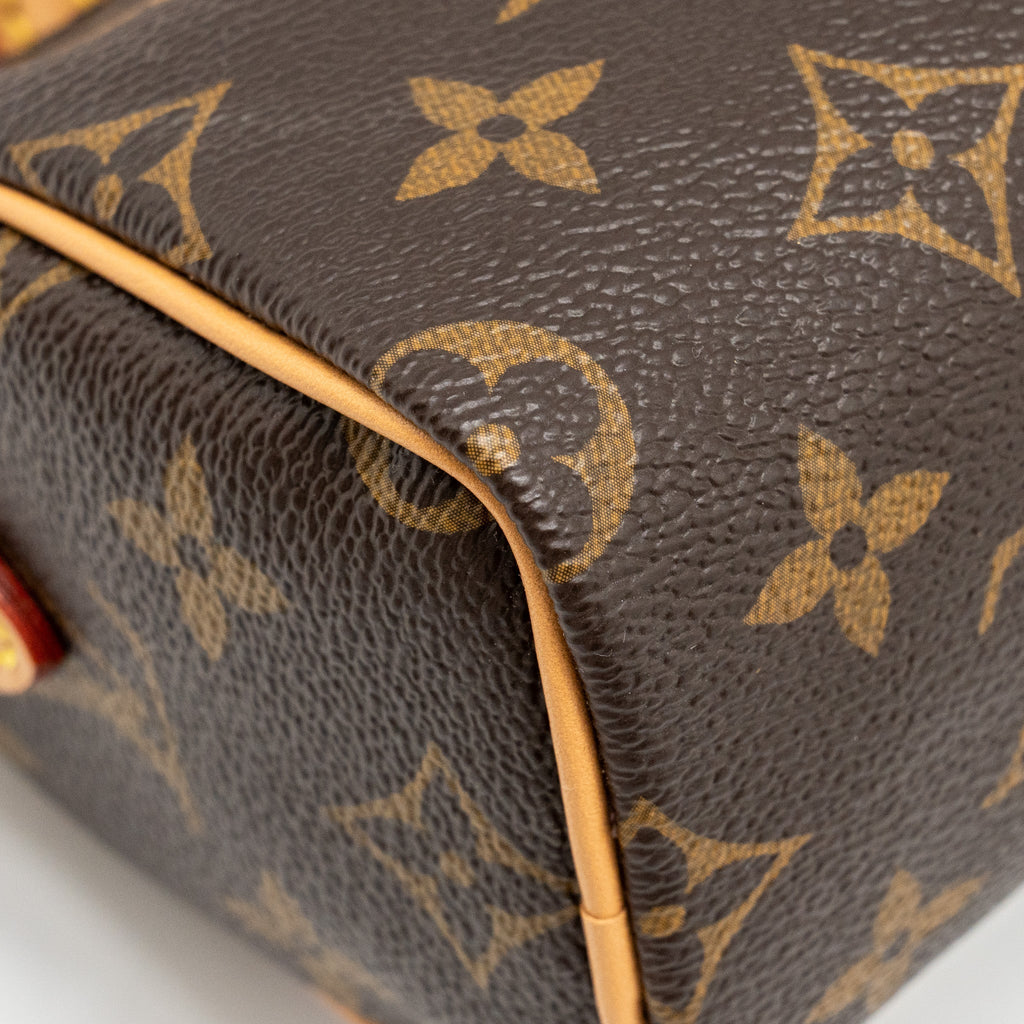 louis-vuitton-nano-speedy-vivienne-limited-edition-monogram-canvas-ghw-copy-1