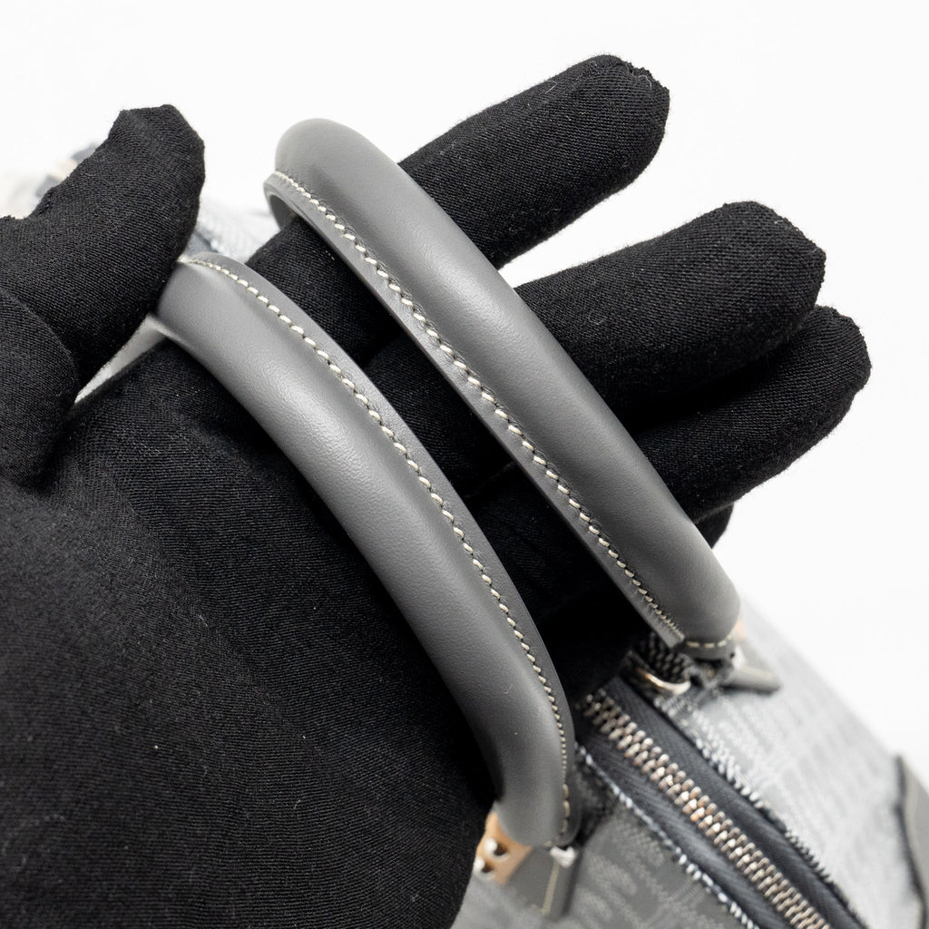 goyard-vendome-mini-bag-goyardine-canvas-chevroches-calfskin-grey-shw