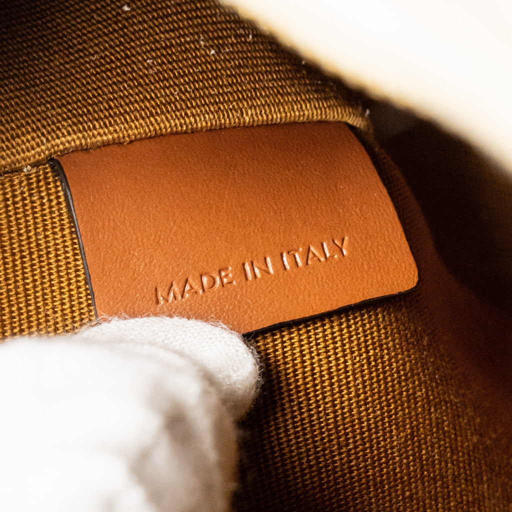 celine-ava-bag-triomphe-canvas-calfskin-white-brown-ghw-copy