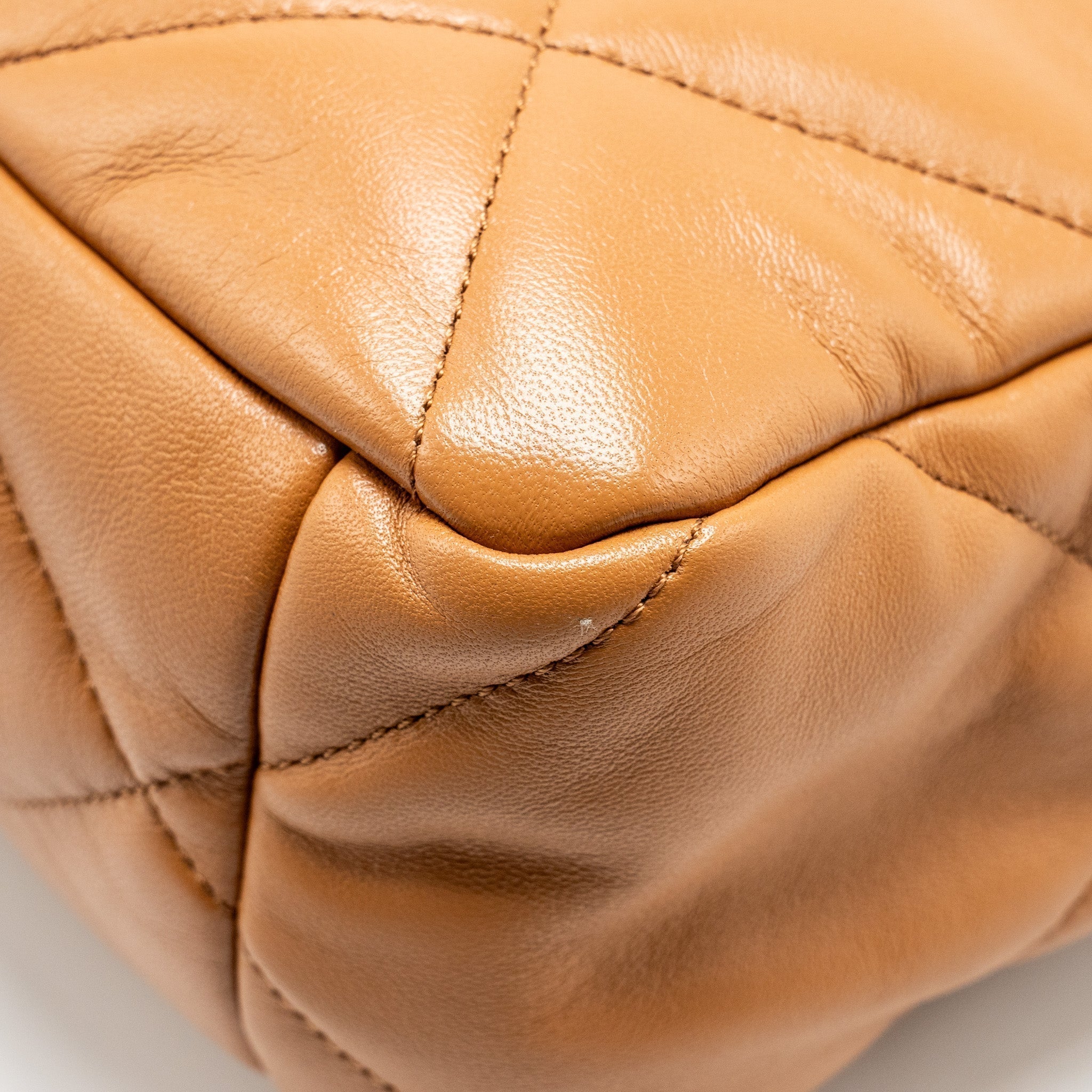 chanel-medium-19-bag-lambskin-caramel-multicolour-hardware-microchip-copy
