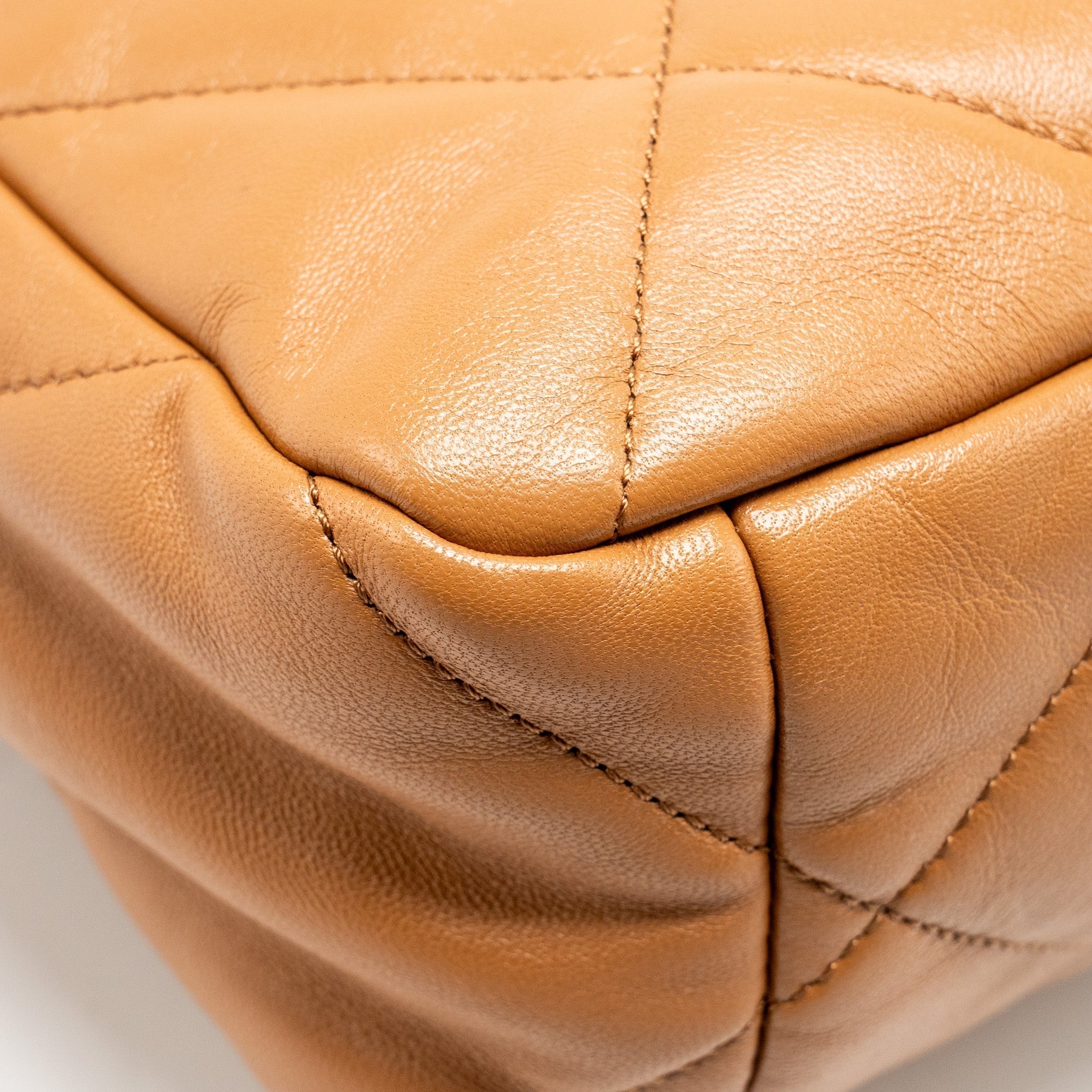 chanel-medium-19-bag-lambskin-caramel-multicolour-hardware-microchip-copy