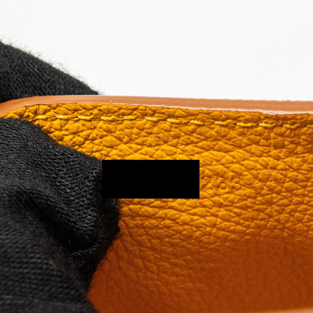 goyard-mini-saigon-bag-goyardine-canvas-calfskin-tan-black-shw