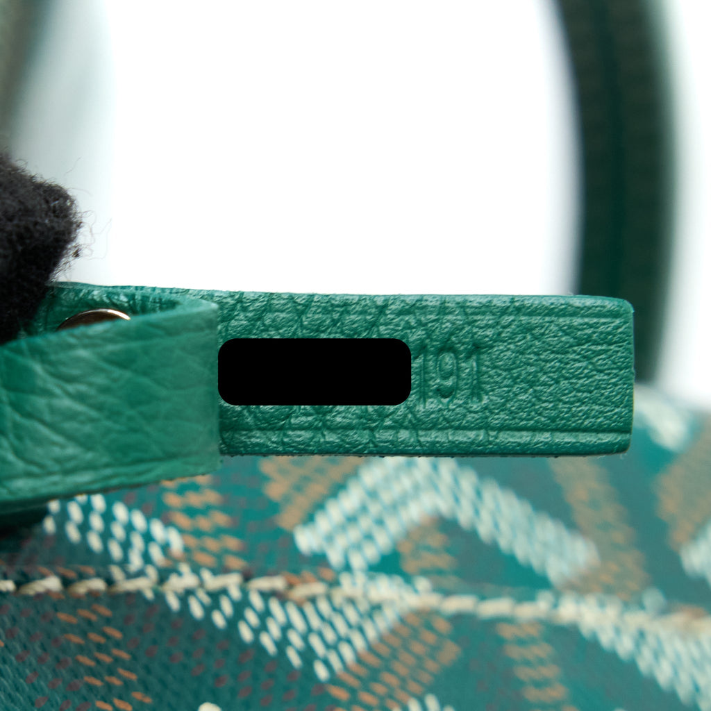 goyard-anjou-mini-bag-canvas-calfskin-green-shw