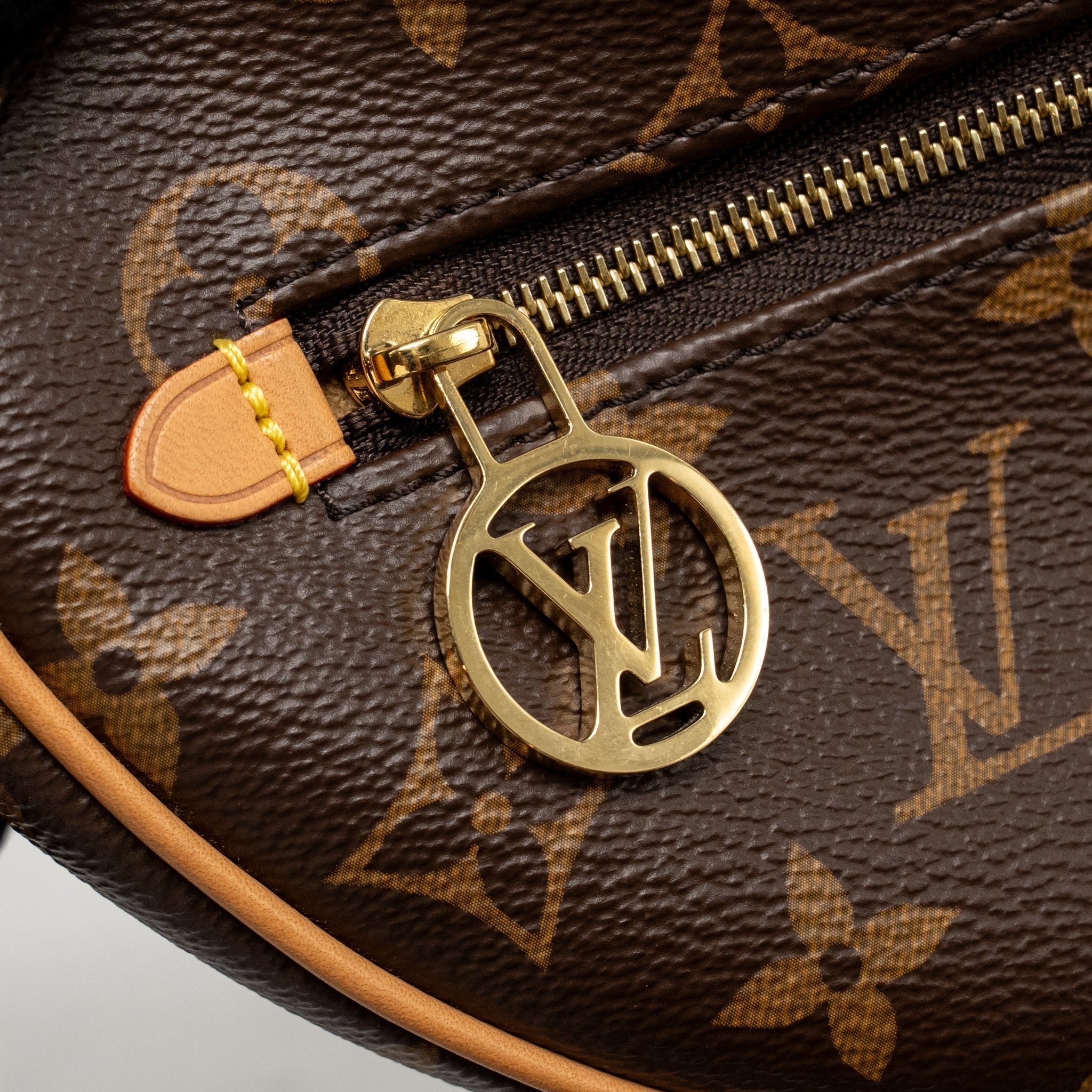 louis-vuitton-loop-bag-monogram-canvas-ghw-copy