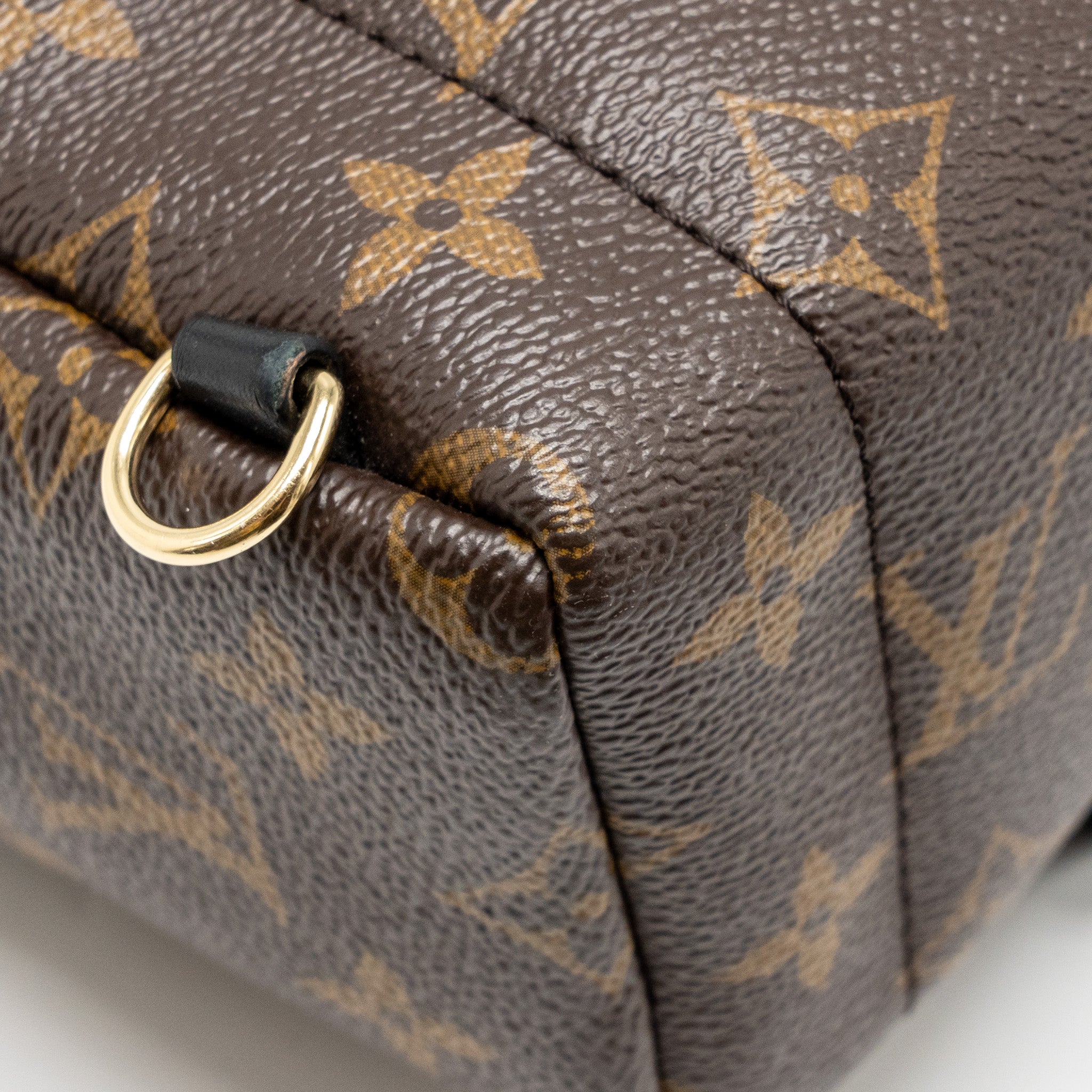 louis-vuitton-mini-palm-springs-monogram-canvas-ghw