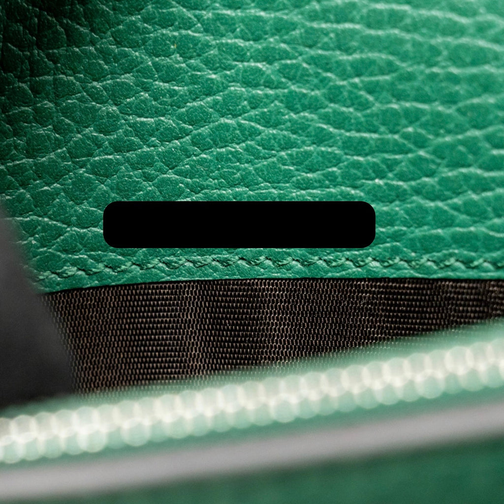 gucci-mini-dionysus-wallet-on-chain-calfskin-green-multicolour-hardware-2
