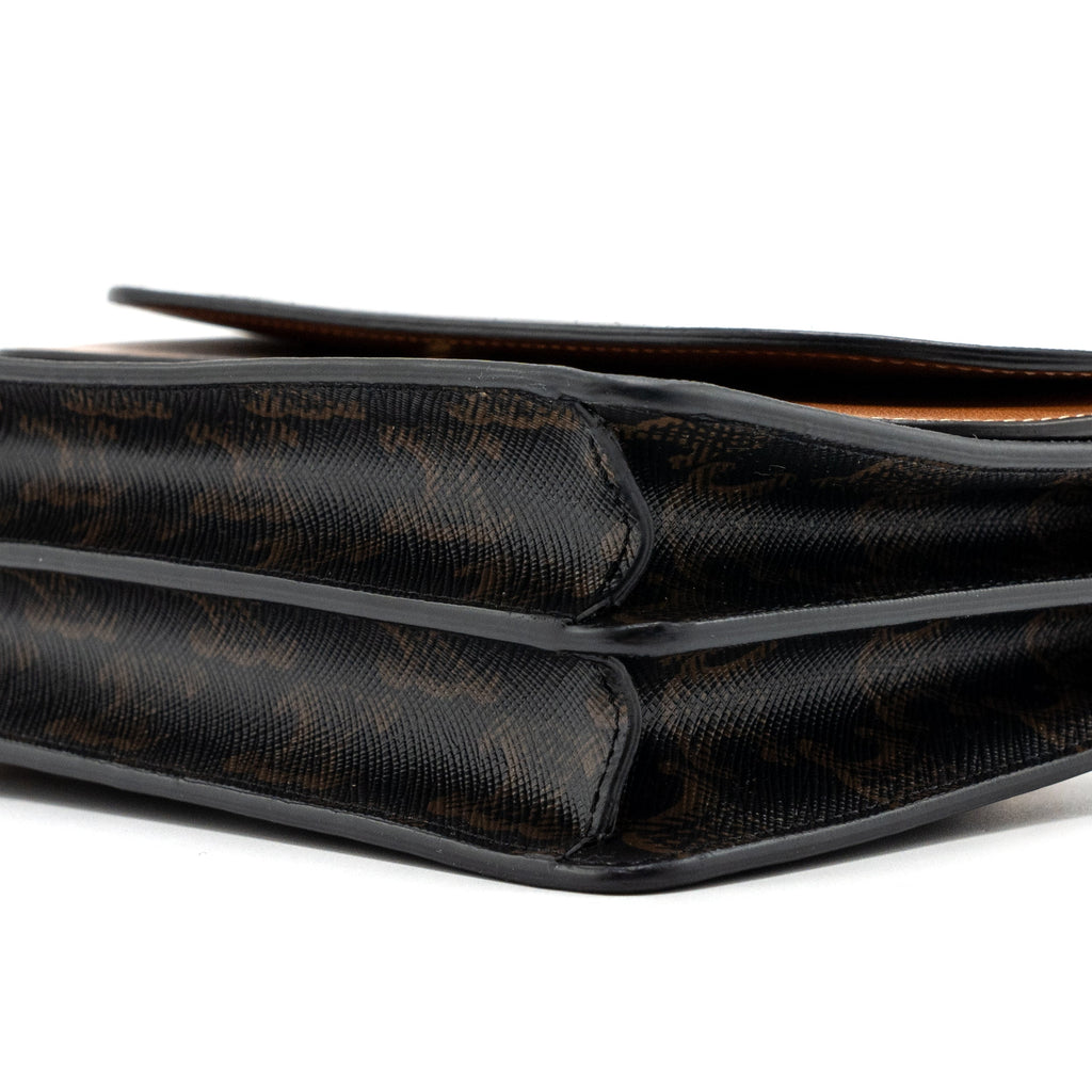 celine-wallet-on-strap-triomphe-canvas-smooth-lambskin-tan-ghw-1