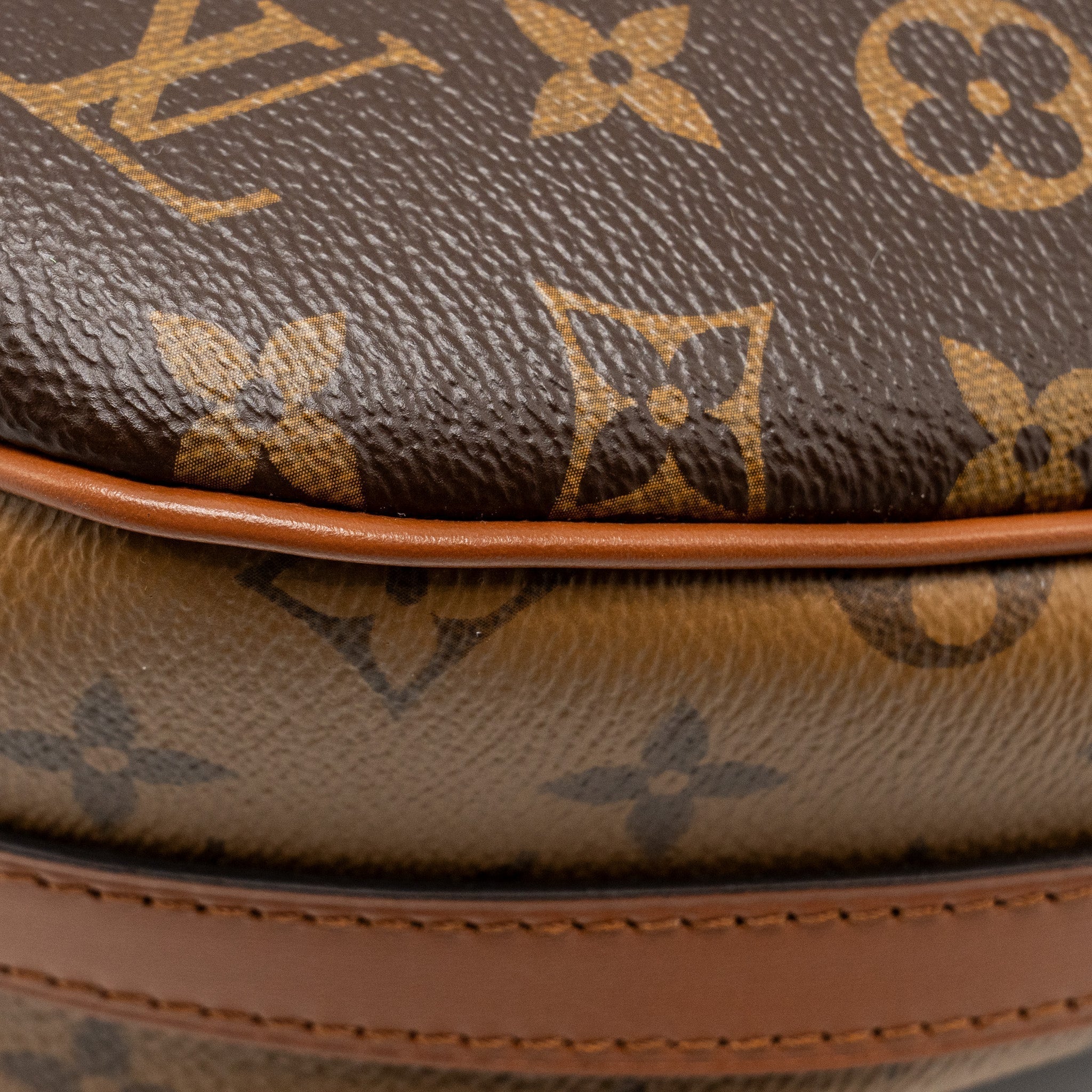 louis-vuitton-loop-hobo-monogram-canvas-calfskin-ghw