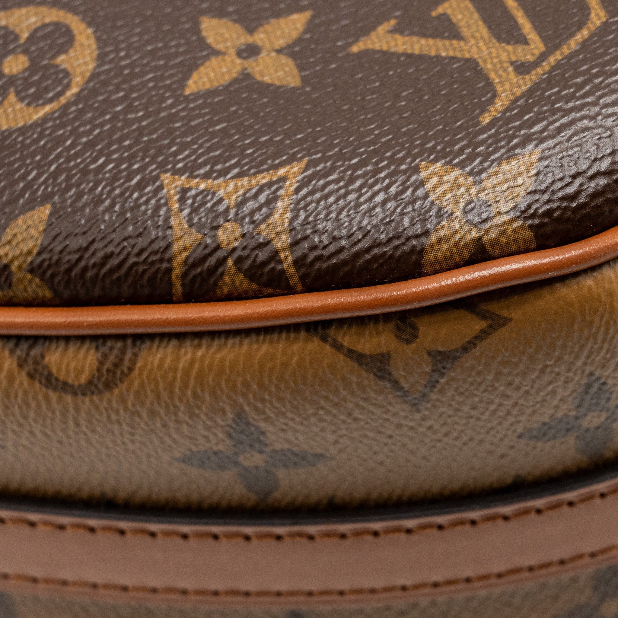 louis-vuitton-loop-hobo-monogram-canvas-calfskin-ghw
