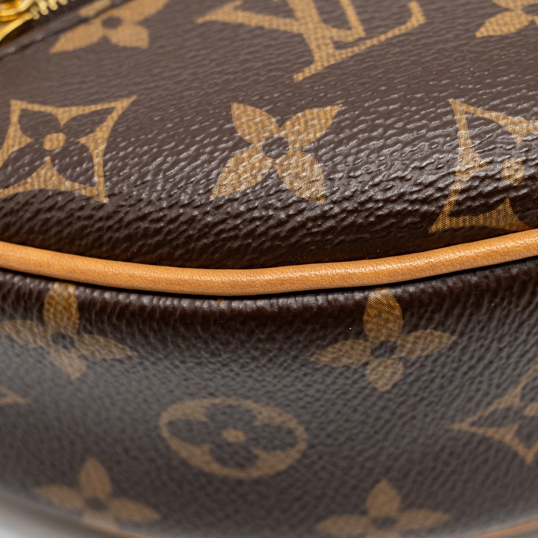 louis-vuitton-half-moon-loop-bag-monogram-canvas-ghw