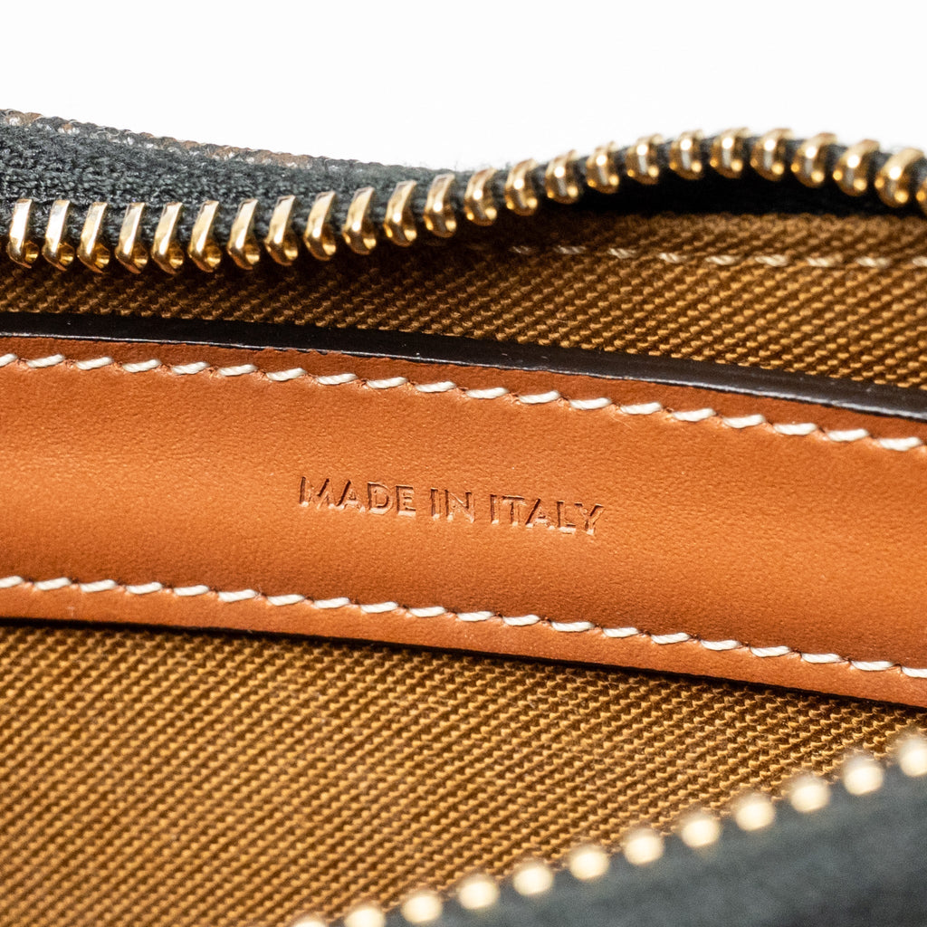celine-ava-bag-triomphe-canvas-calfskin-tan-ghw-copy