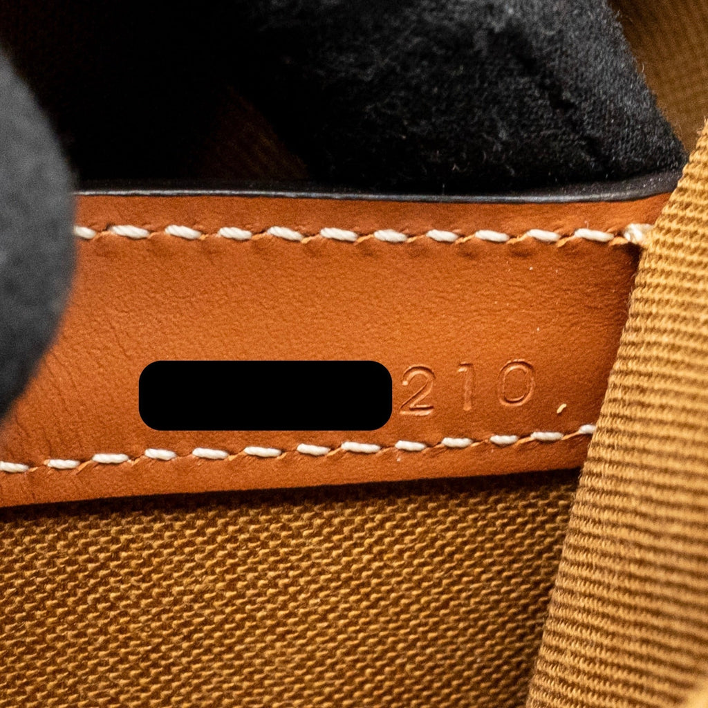 celine-ava-bag-triomphe-canvas-calfskin-tan-ghw-copy