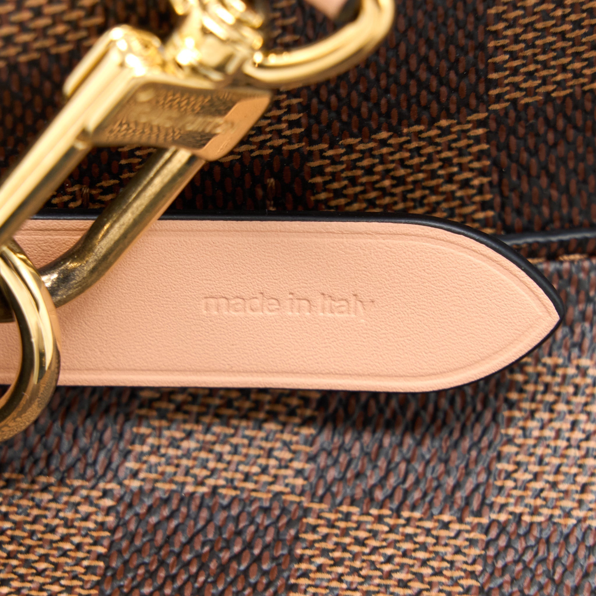 louis-vuitton-neonoe-damier-ebene-canvas-venus-ghw-new-version