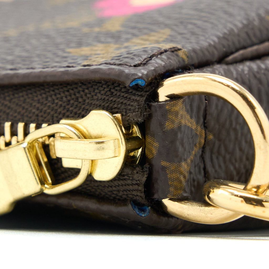 louis-vuitton-mini-pochette-accessories-limited-edition-monogram-canvas-ghw-1
