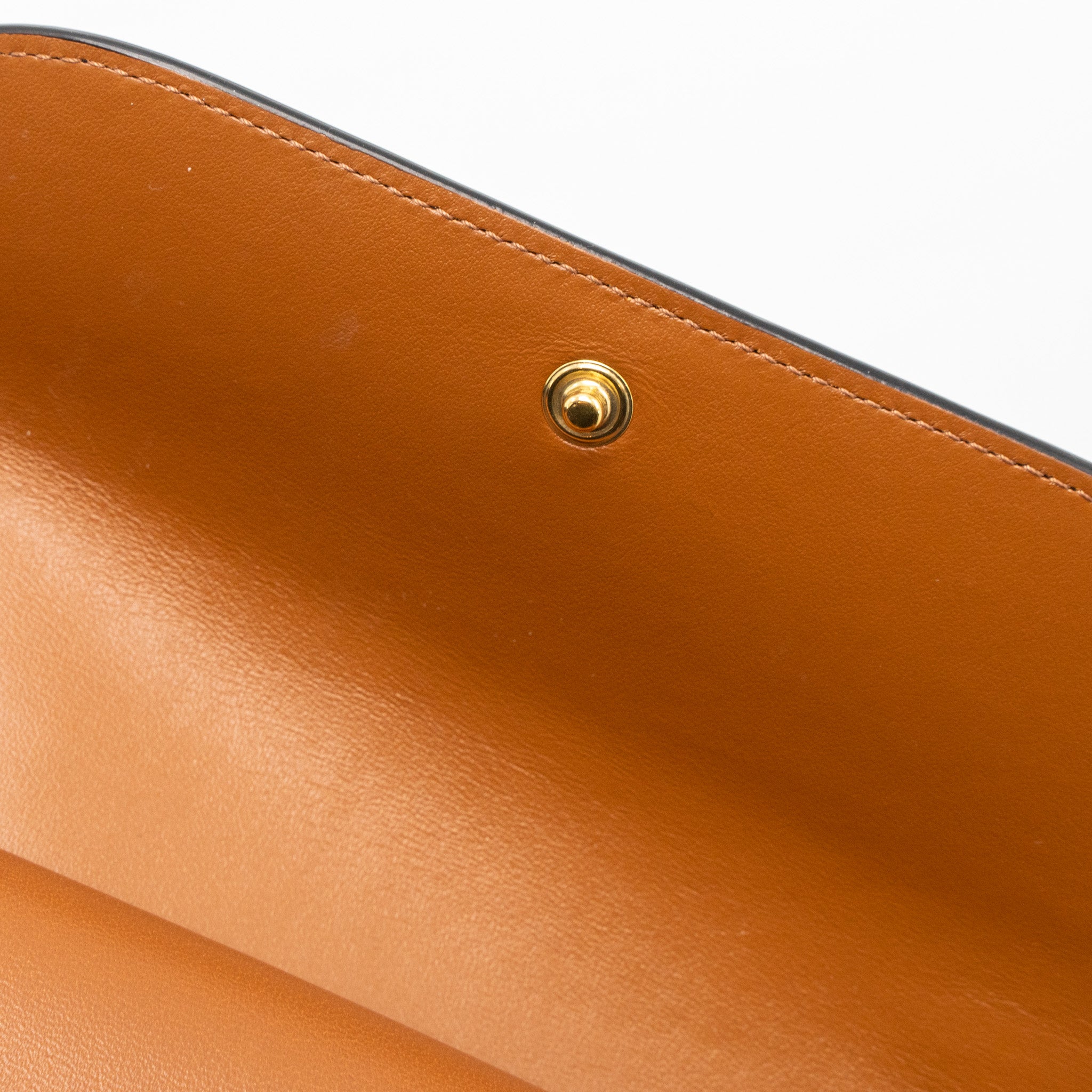 celine-wallet-on-strap-triomphe-canvas-smooth-lambskin-tan-ghw