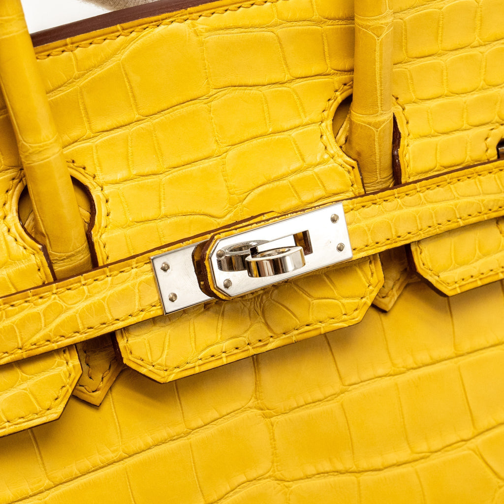 hermes-birkin-1