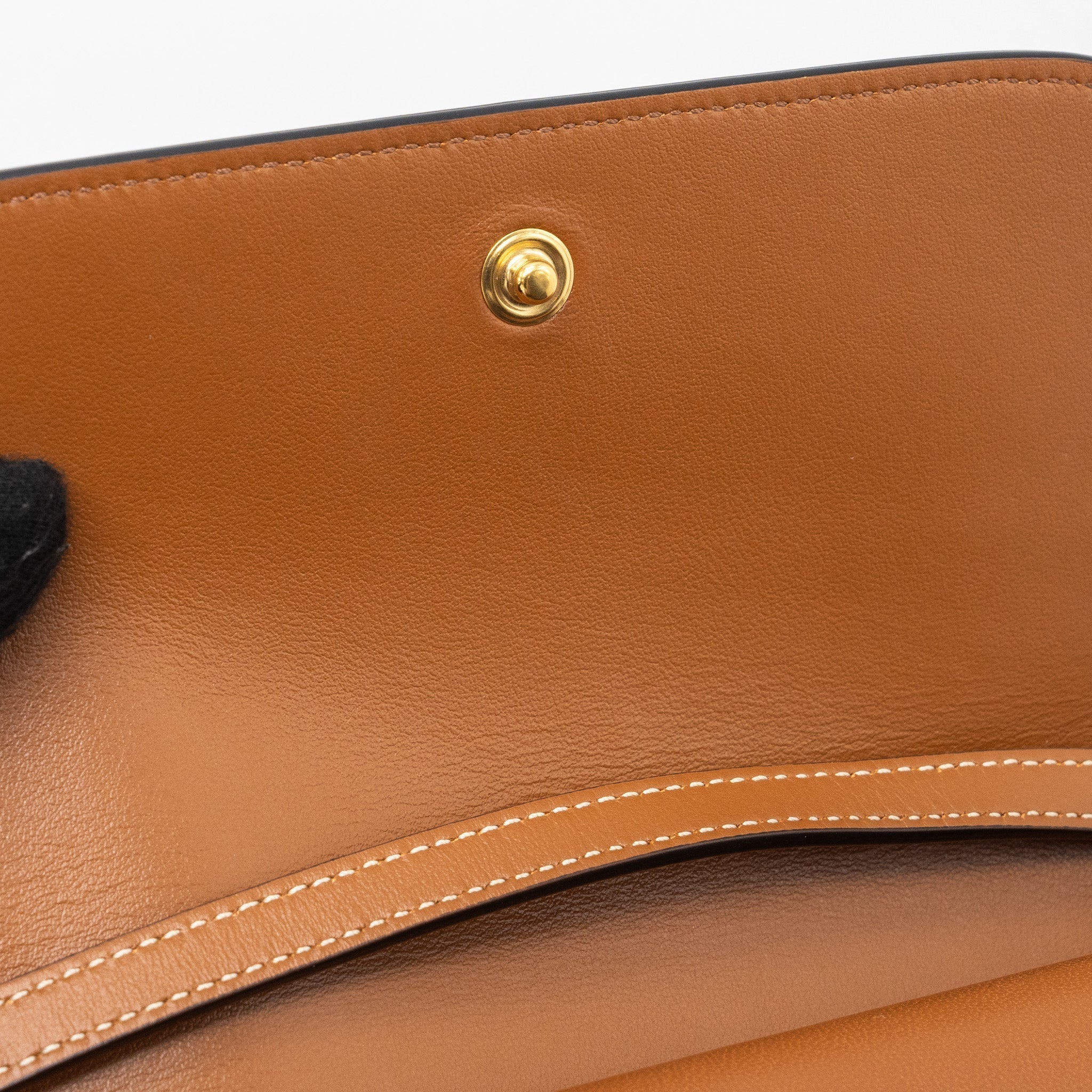 celine-wallet-on-strap-triomphe-canvas-smooth-lambskin-tan-with-ghw