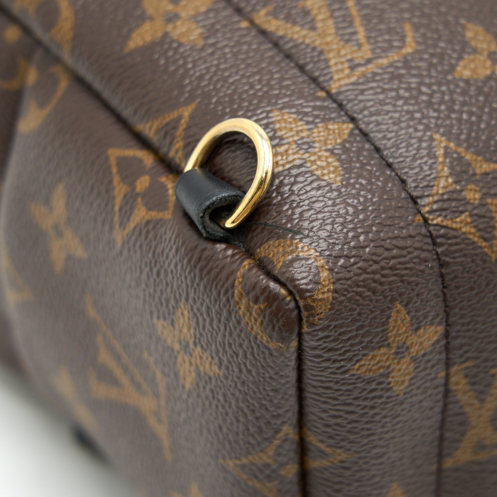 louis-vuitton-palm-springs-mini-monogram-canvas