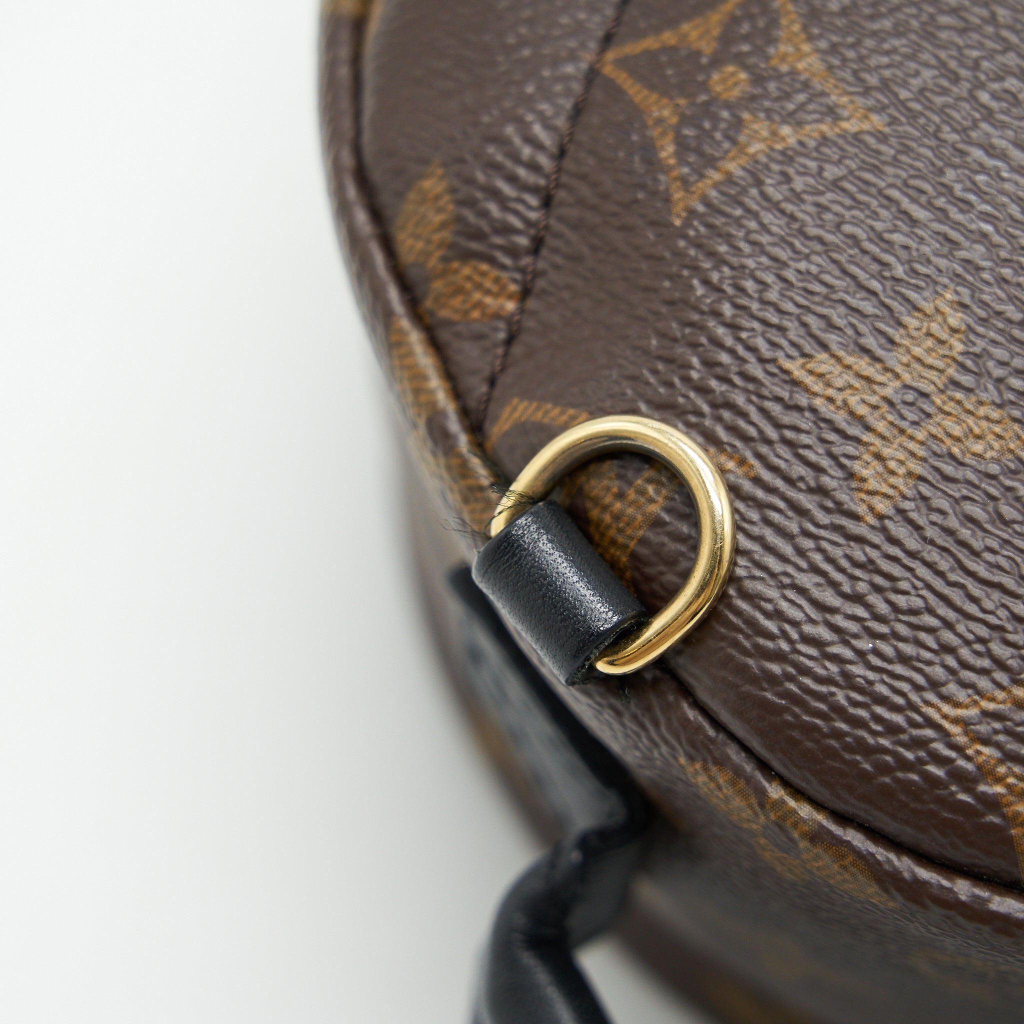 louis-vuitton-palm-springs-mini-monogram-canvas
