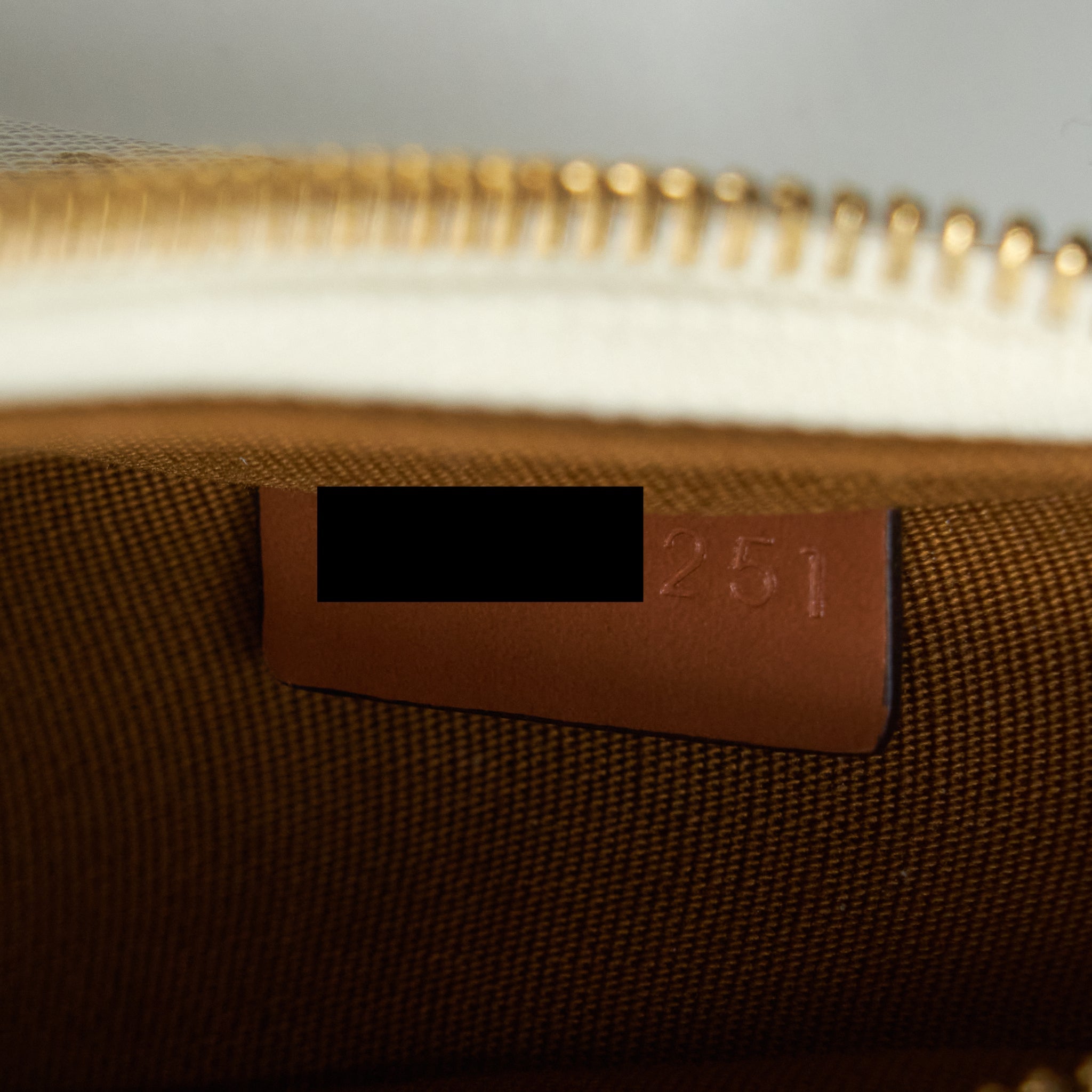 celine-ava-bag-triomphe-canvas-and-leather-white-ghw