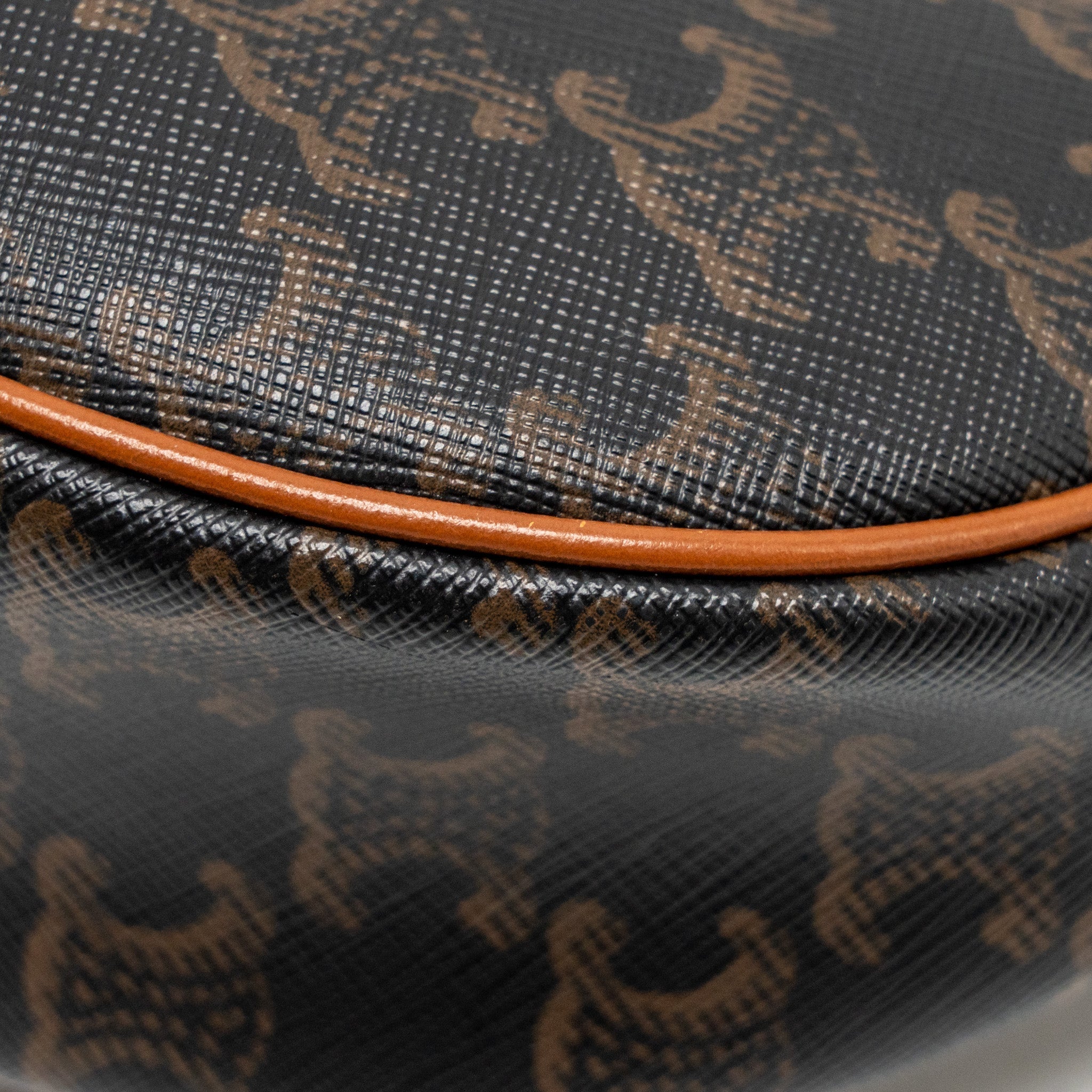 celine-ava-bag-triomphe-canvas-calfskin-tan-ghw-2