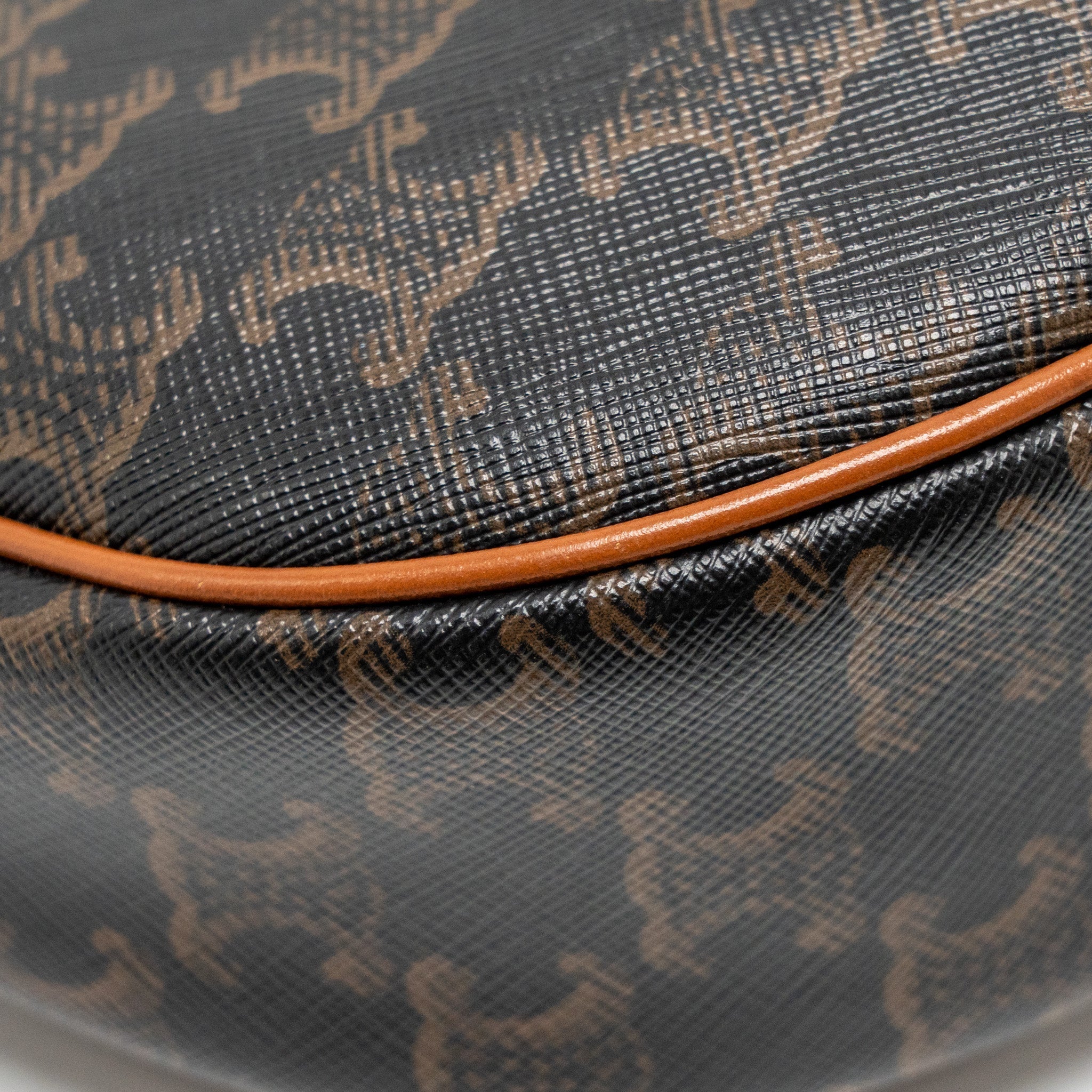 celine-ava-bag-triomphe-canvas-calfskin-tan-ghw-2