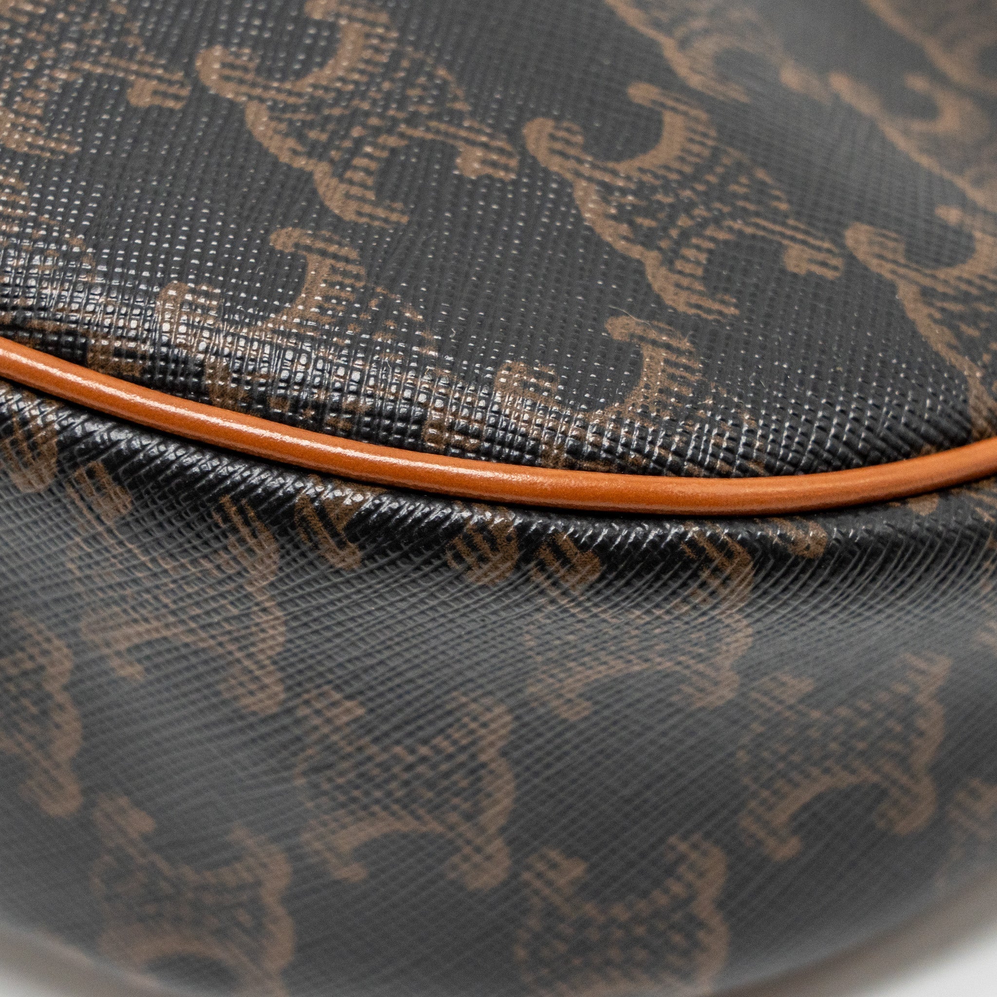 celine-ava-bag-triomphe-canvas-calfskin-tan-ghw-2
