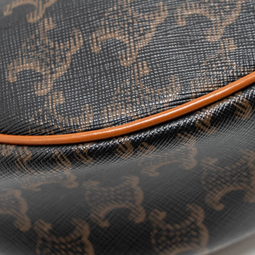 celine-ava-bag-triomphe-canvas-calfskin-tan-ghw-2