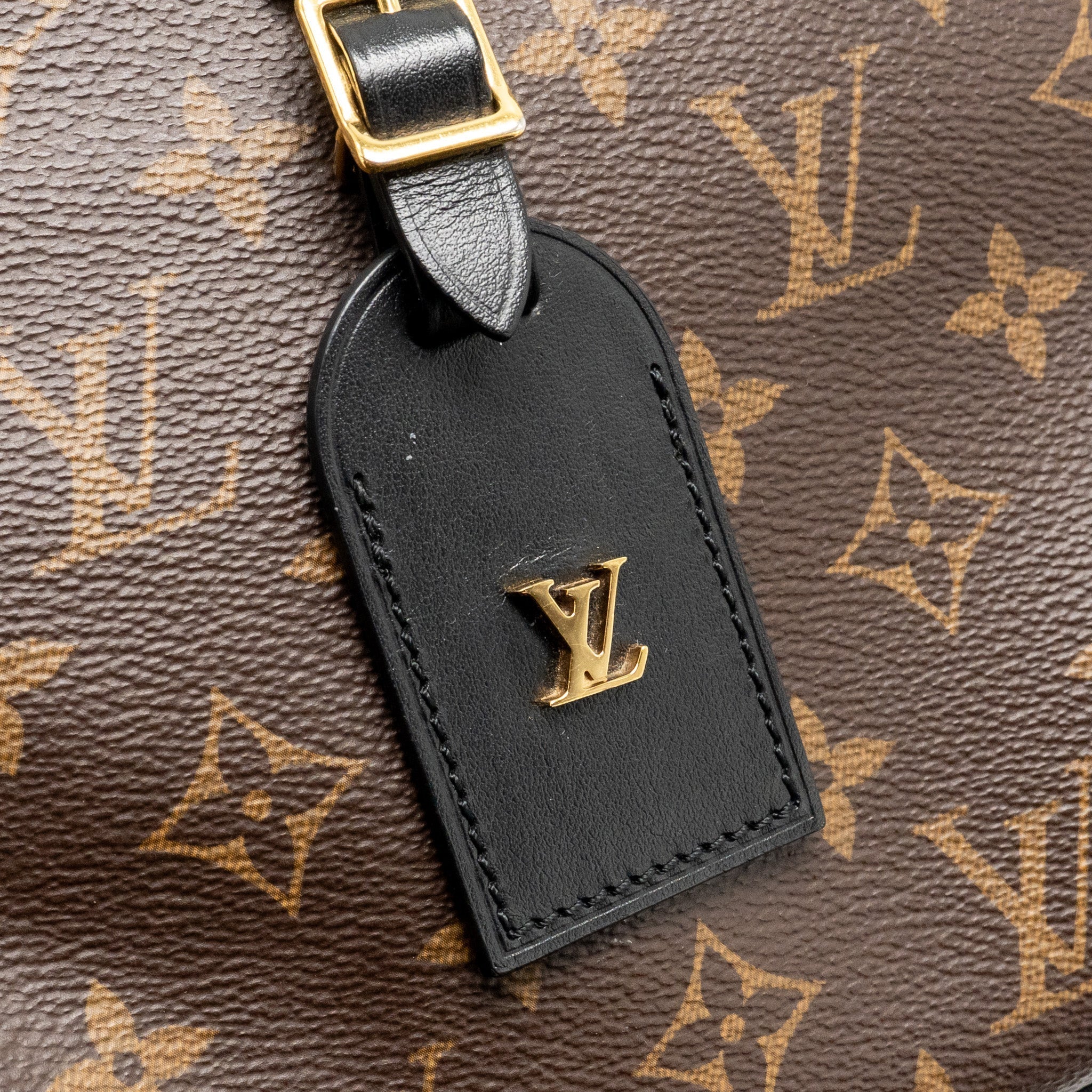 louis-vuitton-odeon-pm-bag-monogram-canvas-black-ghw-copy