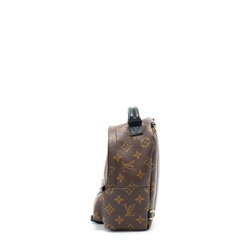 louis-vuitton-palm-spring-mini-backpack-monogram-canvas-ghw-3