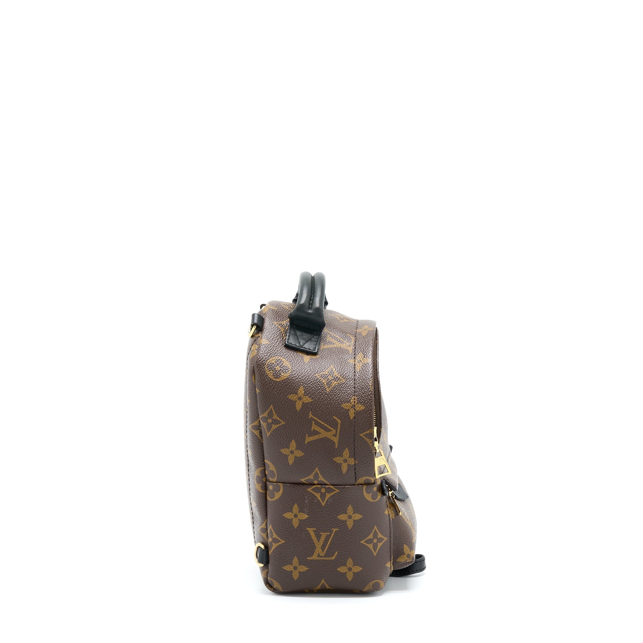 louis-vuitton-palm-spring-mini-backpack-monogram-canvas-ghw-3