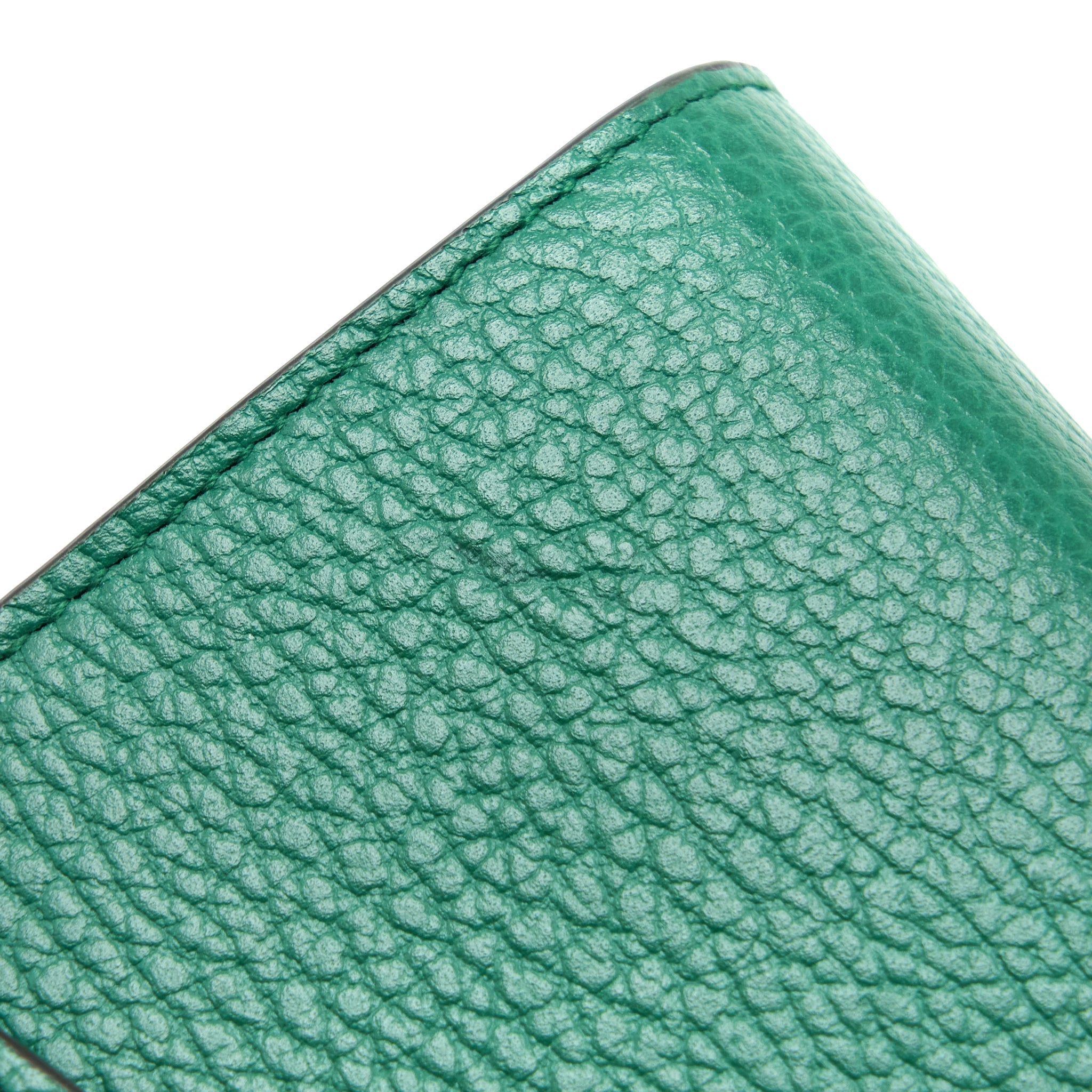 gucci-dionysus-mini-chain-bag-calfskin-green-multicolour-hardware