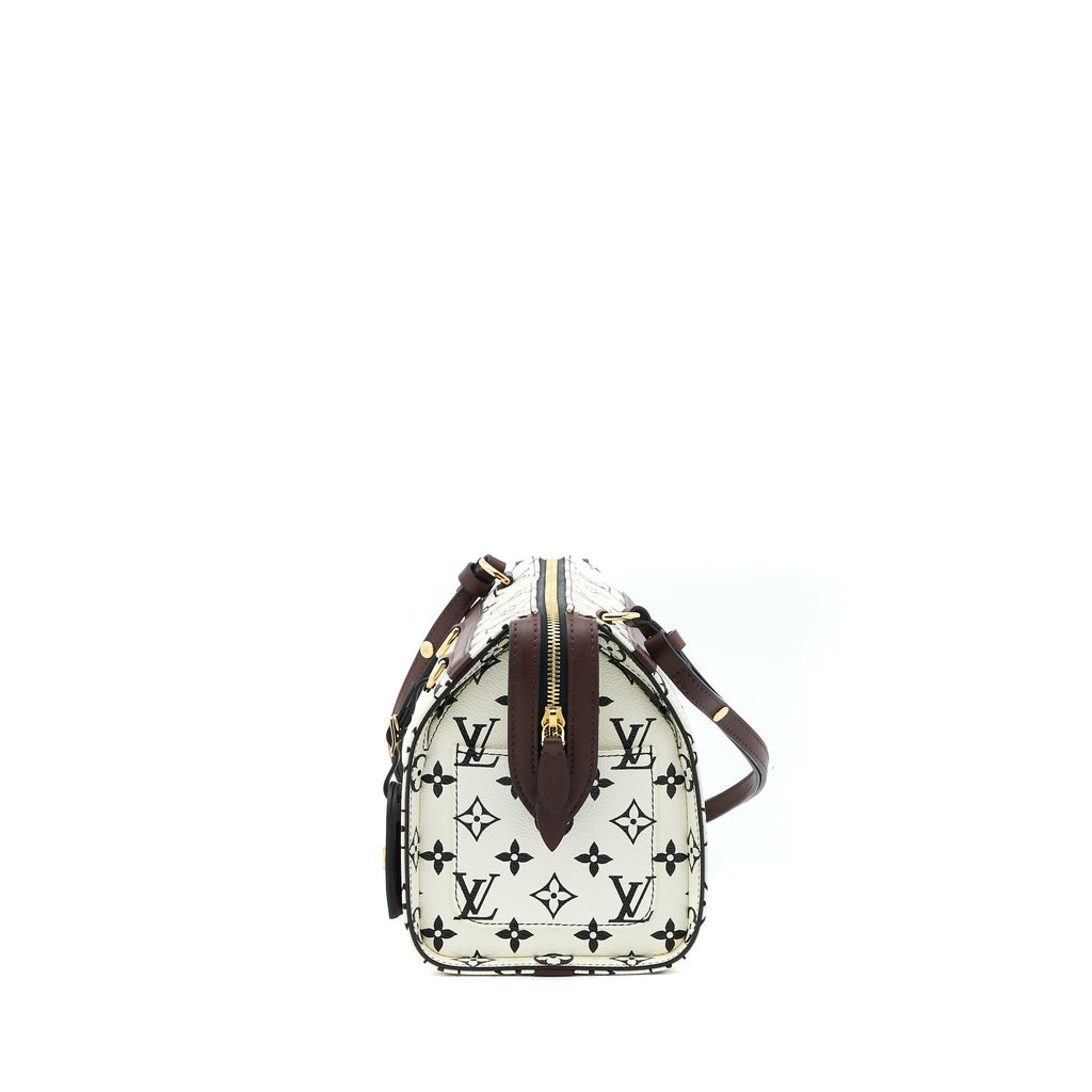 louis-vuitton-speedy-amazon-pm-bag-monogram-canvas-multicoloured-ghw