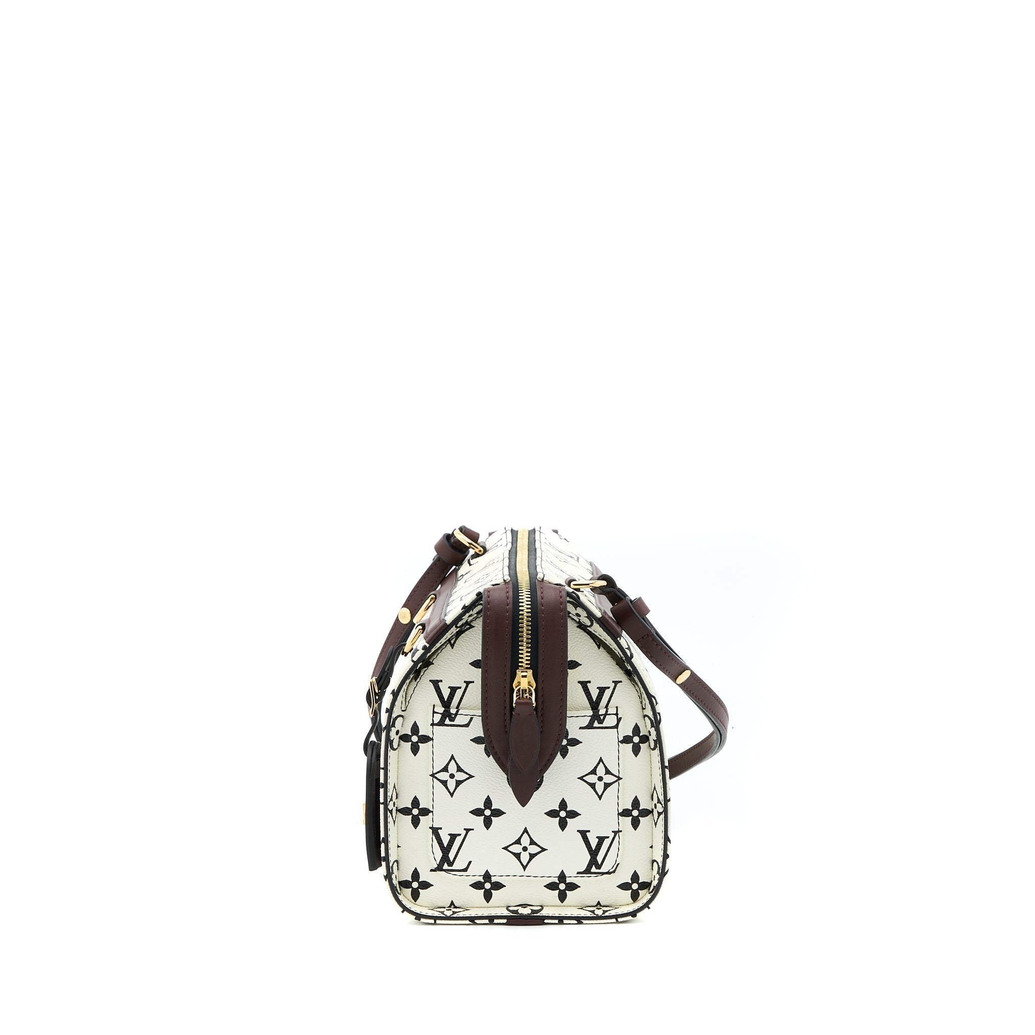 louis-vuitton-speedy-amazon-pm-bag-monogram-canvas-multicoloured-ghw