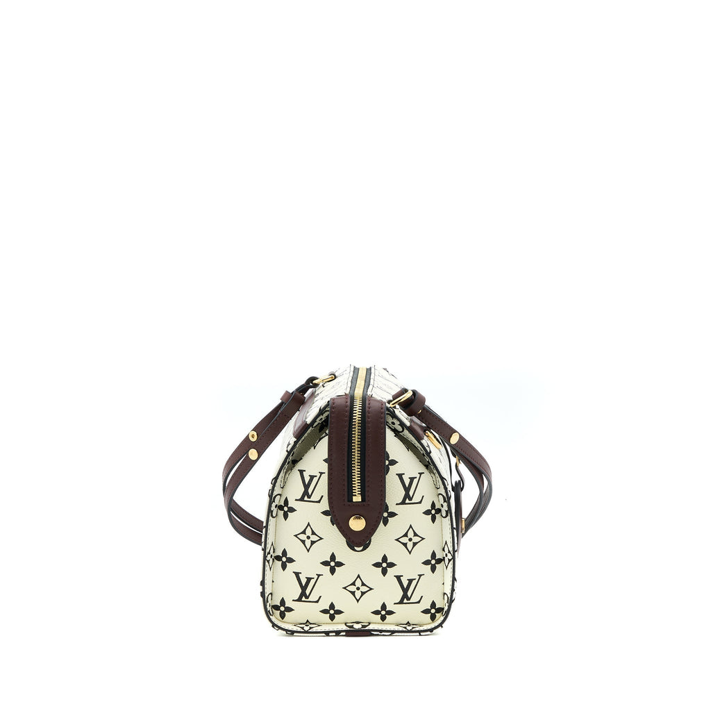 louis-vuitton-speedy-amazon-pm-bag-monogram-canvas-multicoloured-ghw