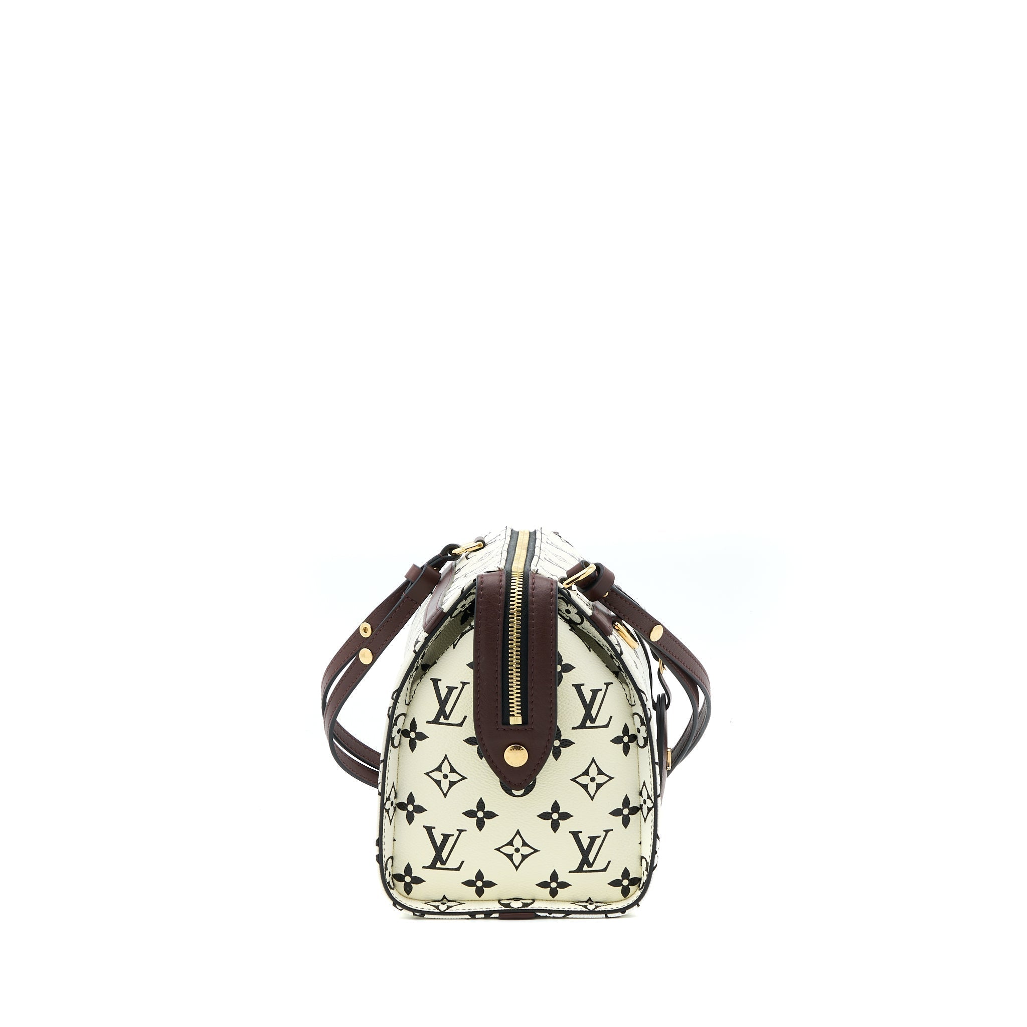 louis-vuitton-speedy-amazon-pm-bag-monogram-canvas-multicoloured-ghw