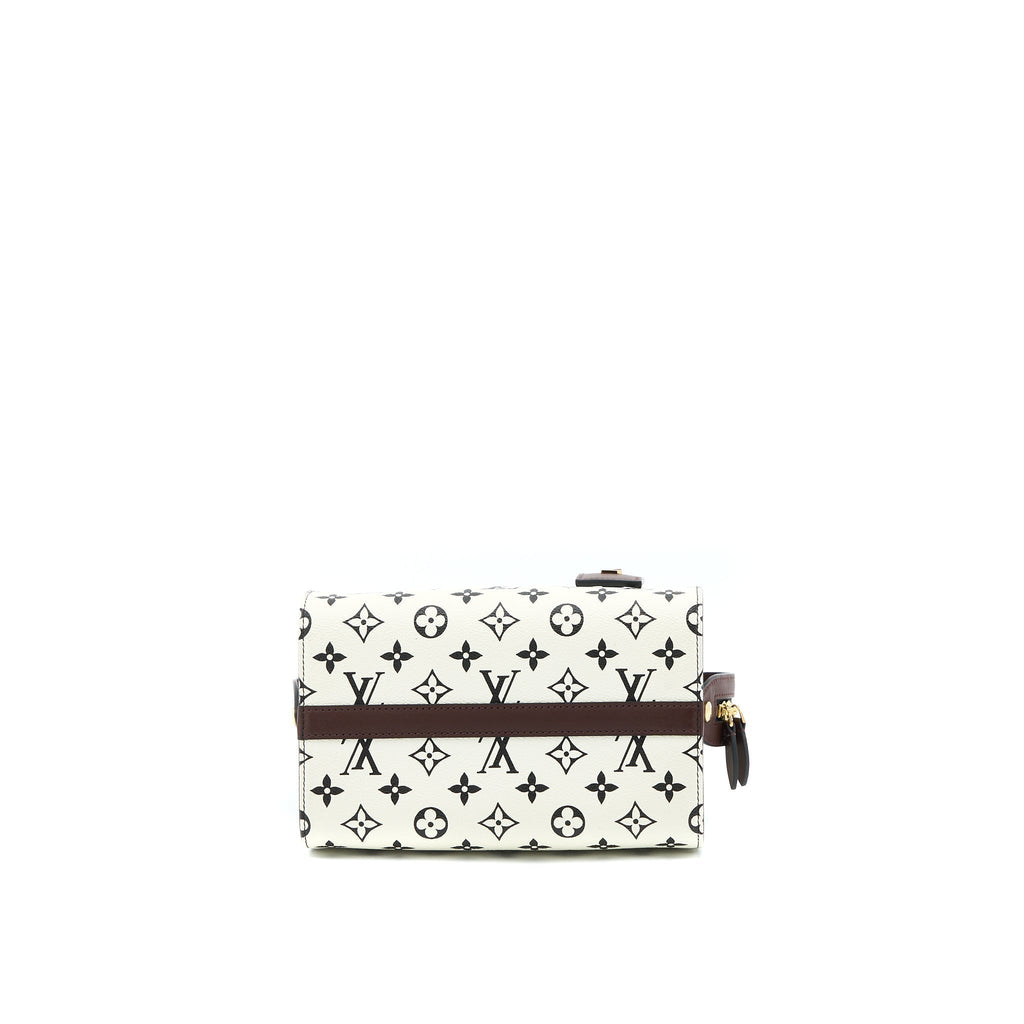 louis-vuitton-speedy-amazon-pm-bag-monogram-canvas-multicoloured-ghw