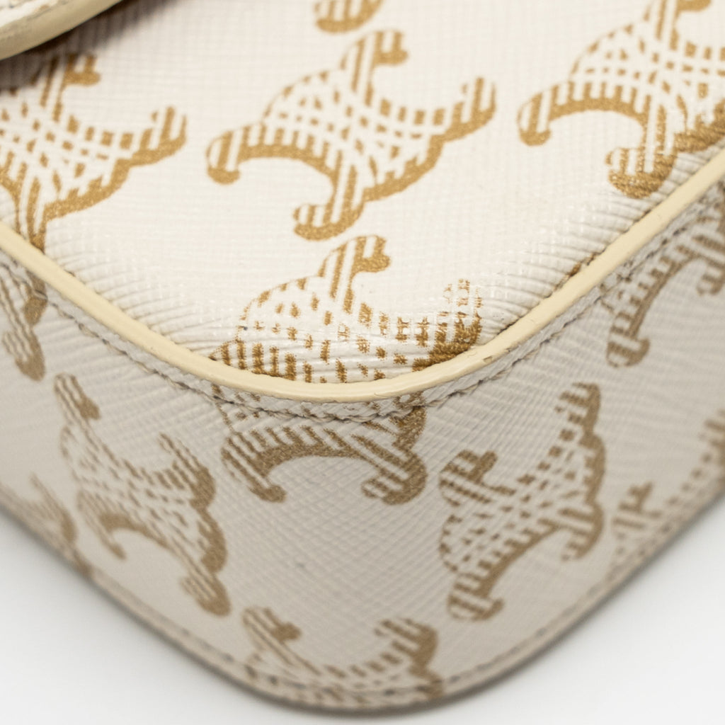 celine-triomphe-shouder-bag-triomphe-canvas-calfskin-white-ghw