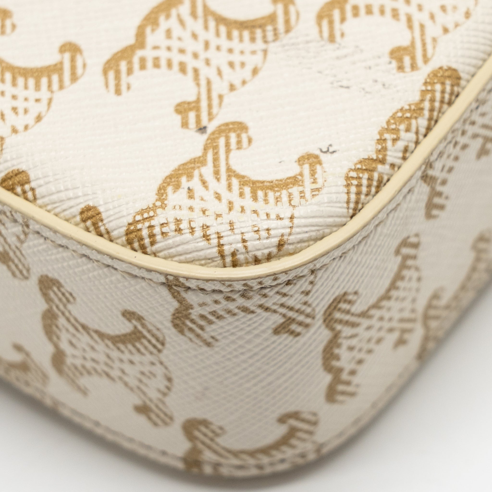 celine-triomphe-shouder-bag-triomphe-canvas-calfskin-white-ghw