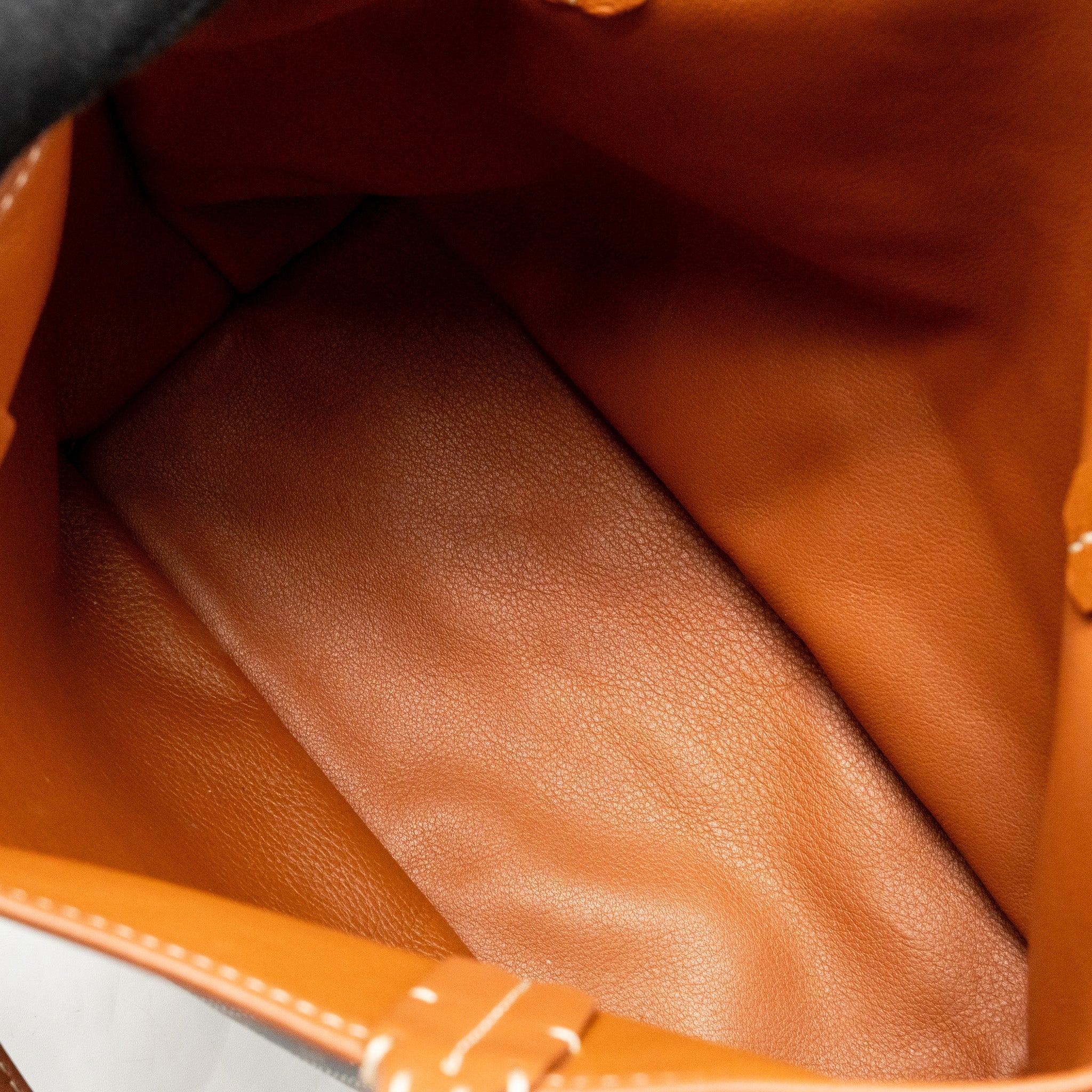 goyard-mini-anjou-tote-goyardline-canvas-leather-tan-black-shw
