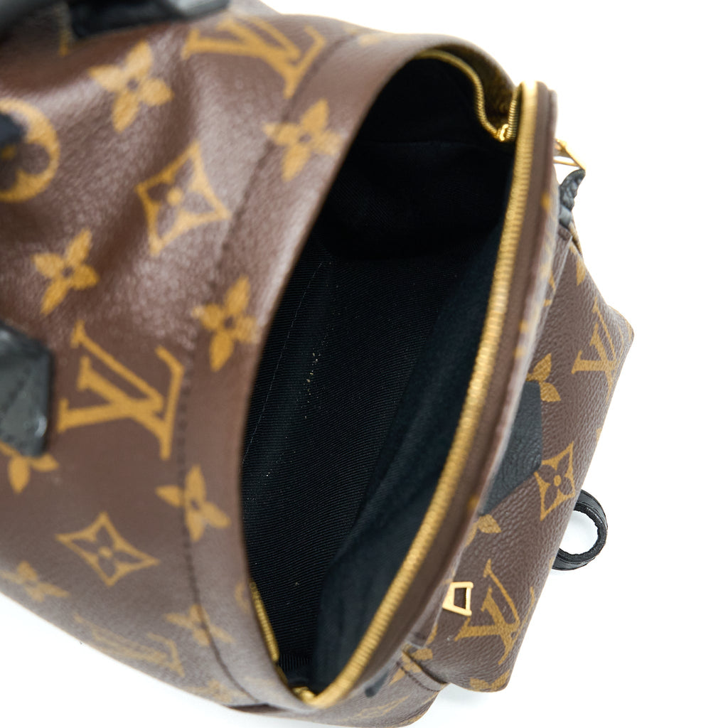 louis-vuitton-palm-spring-mini-backpack-monogram-canvas-ghw-3