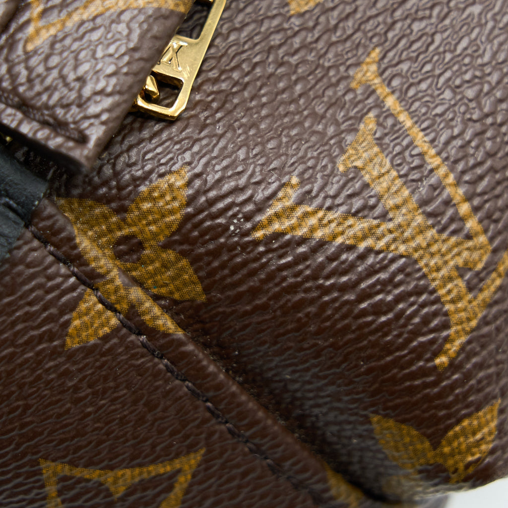 louis-vuitton-palm-spring-mini-backpack-monogram-canvas-ghw-3