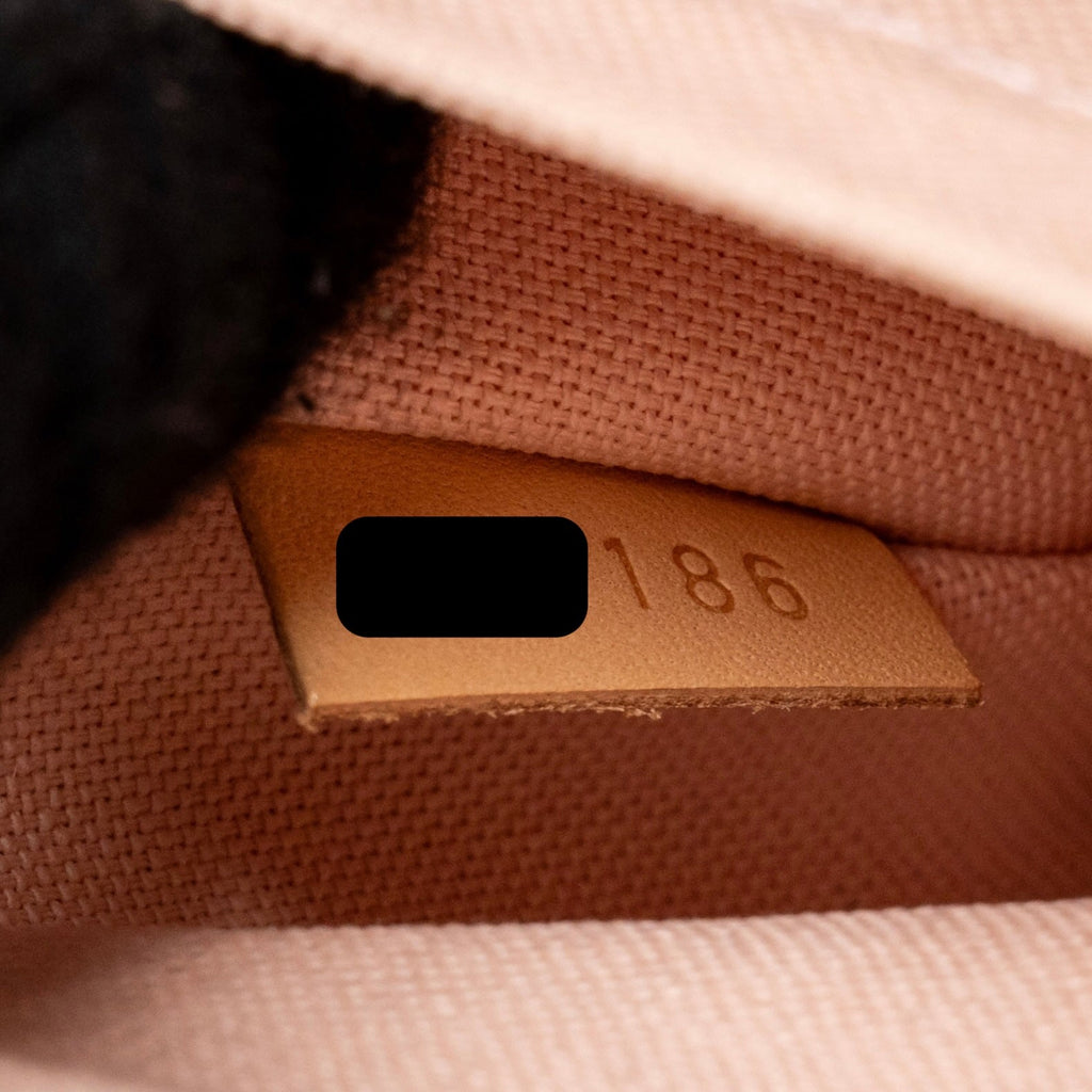 lv-bag-2