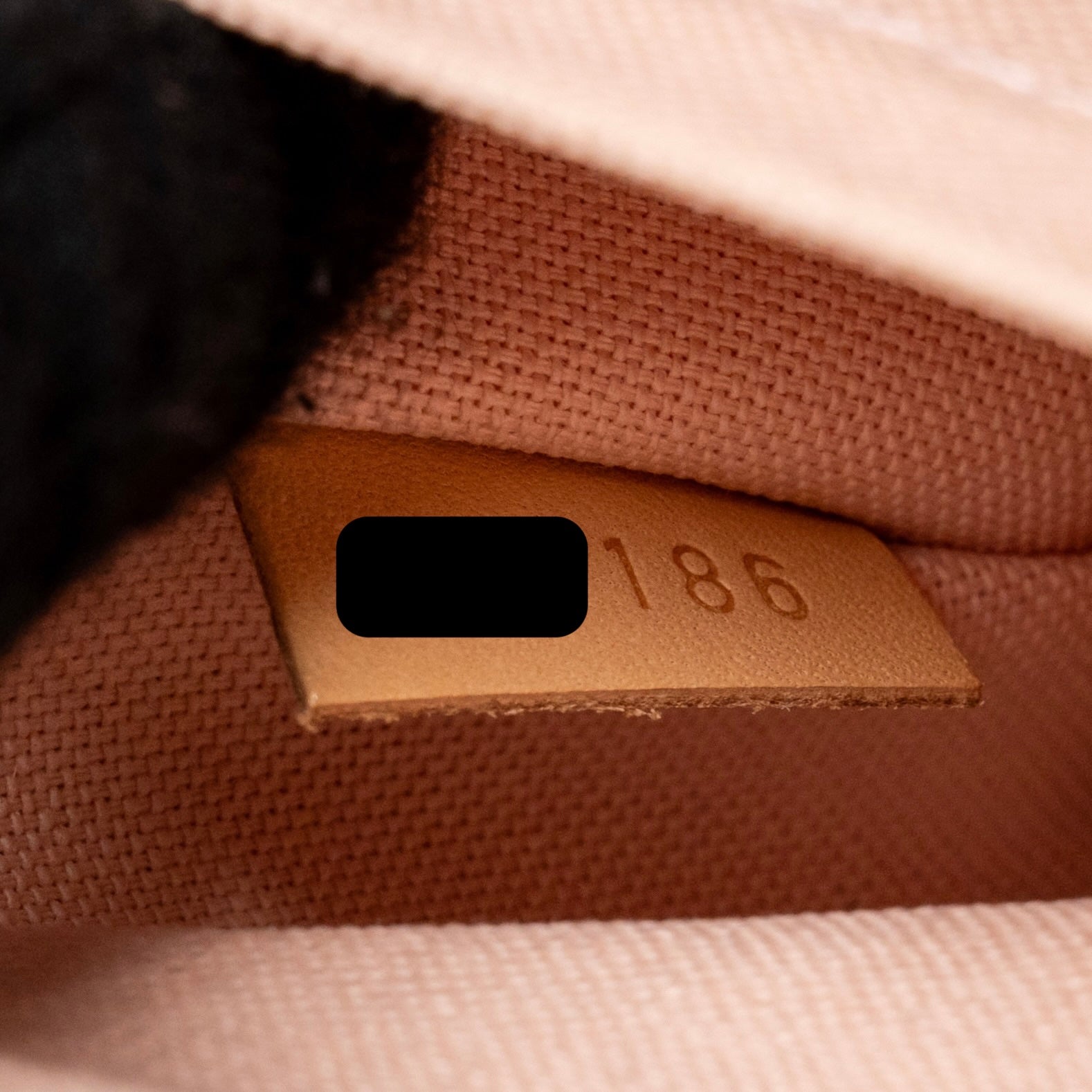 lv-bag-2