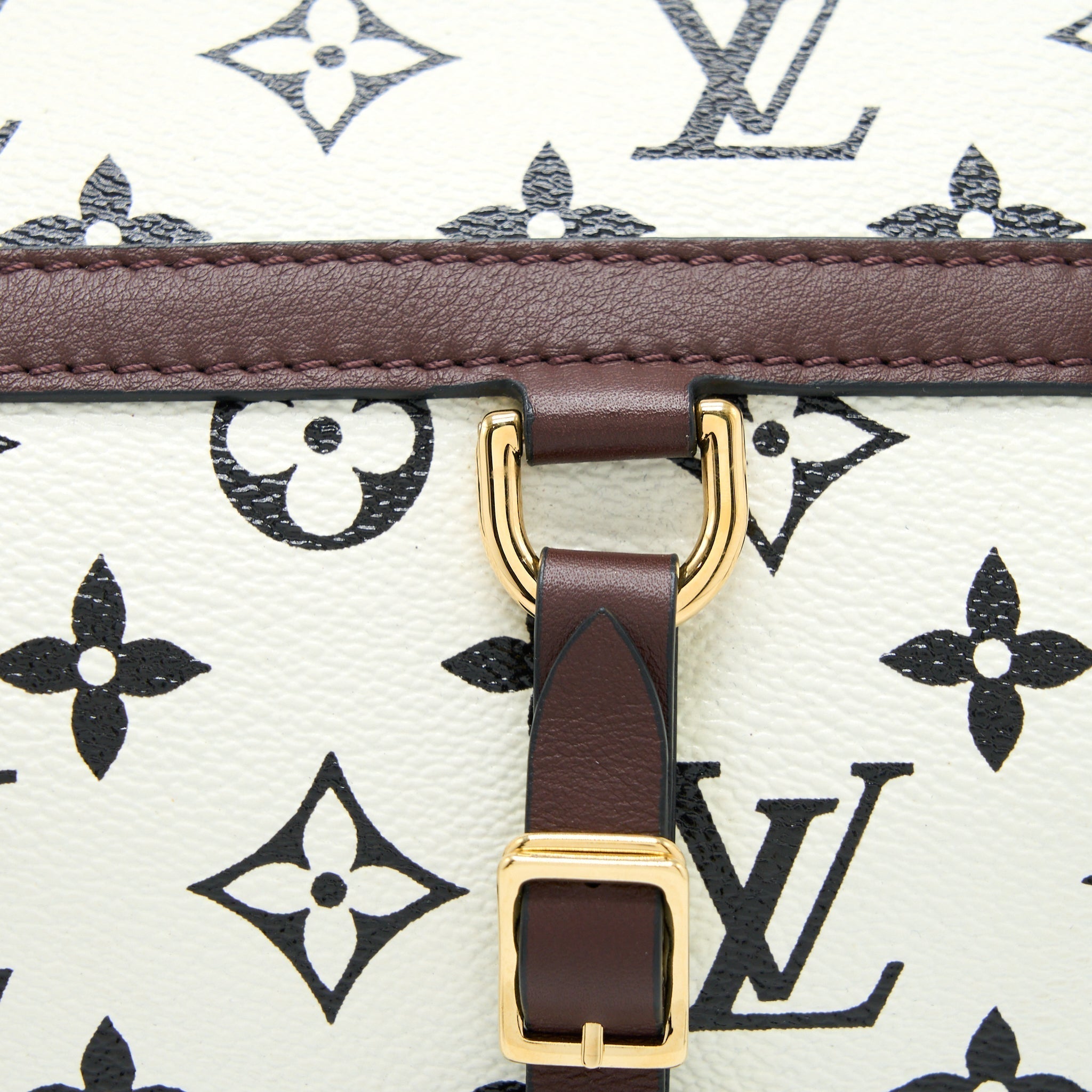 louis-vuitton-speedy-amazon-pm-bag-monogram-canvas-multicoloured-ghw