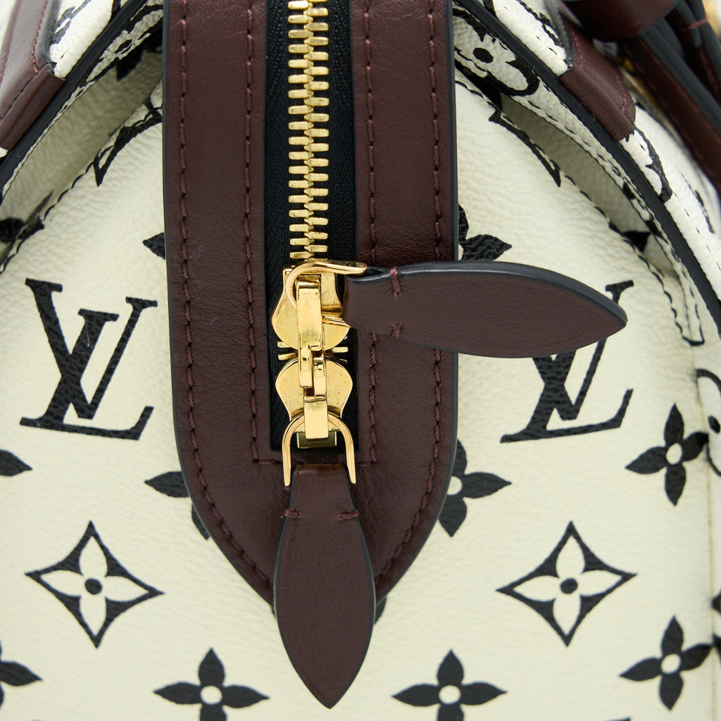 louis-vuitton-speedy-amazon-pm-bag-monogram-canvas-multicoloured-ghw